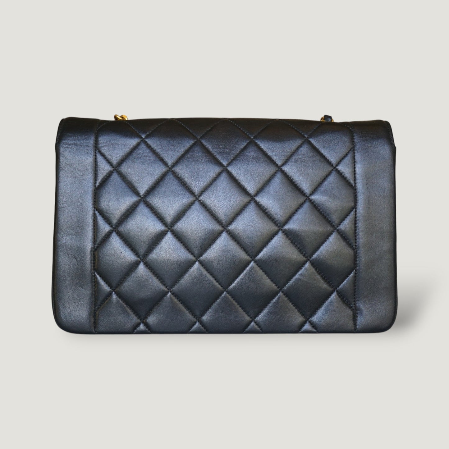 CHANEL DIANA MEDIUM BAG