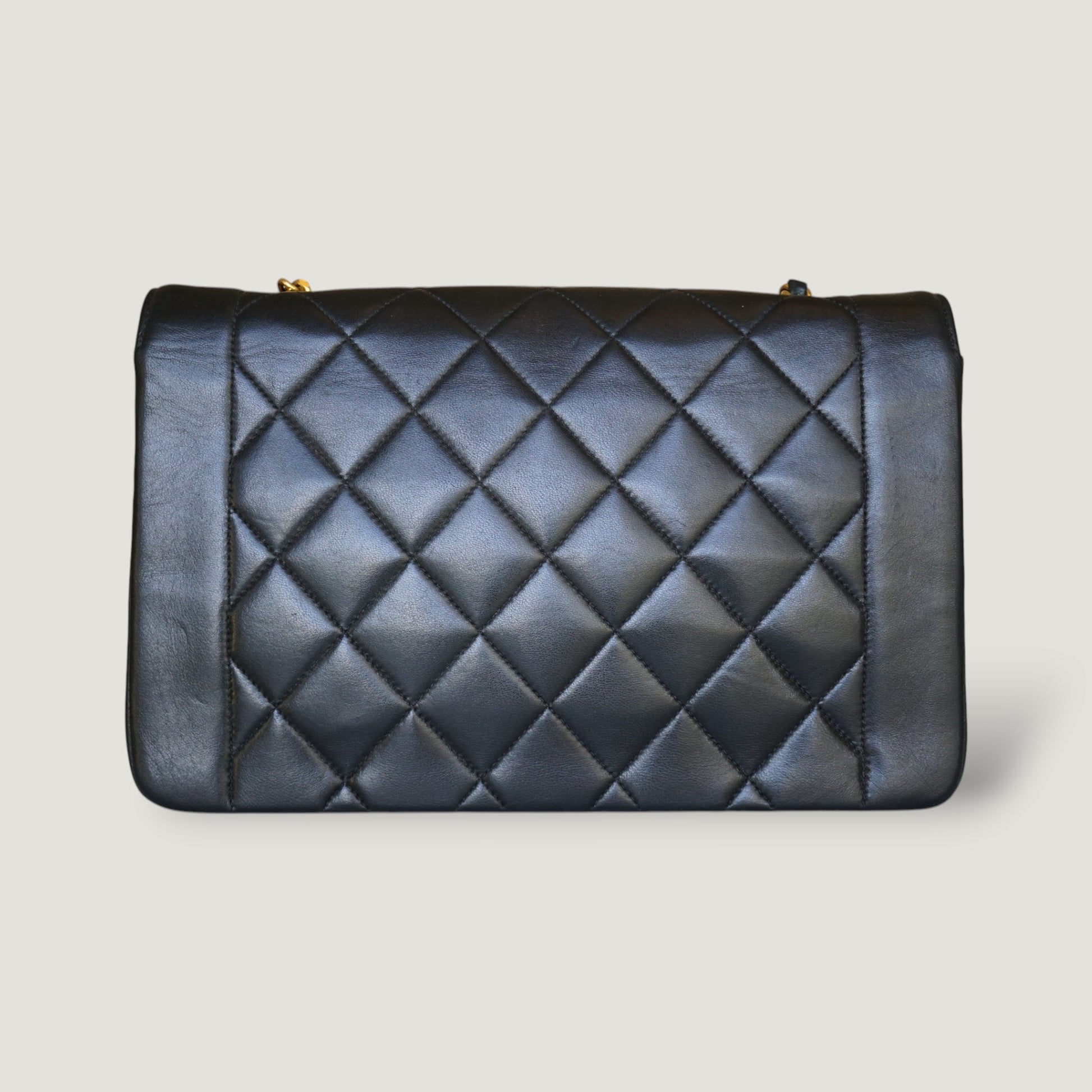 CHANEL DIANA MEDIUM BAG