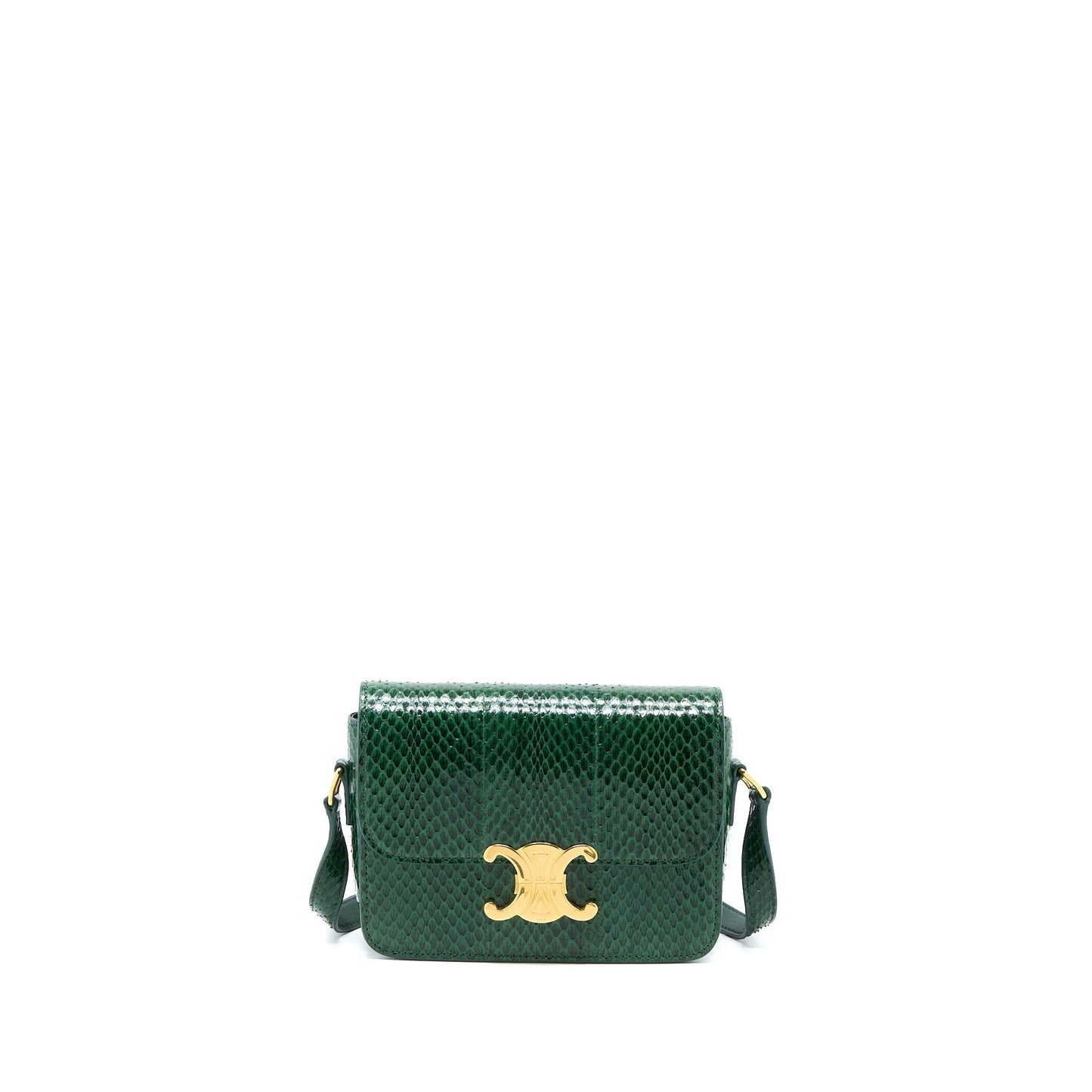 Celine Triomphe Purse Water Snake Handbag Leather Green Travel Bag
