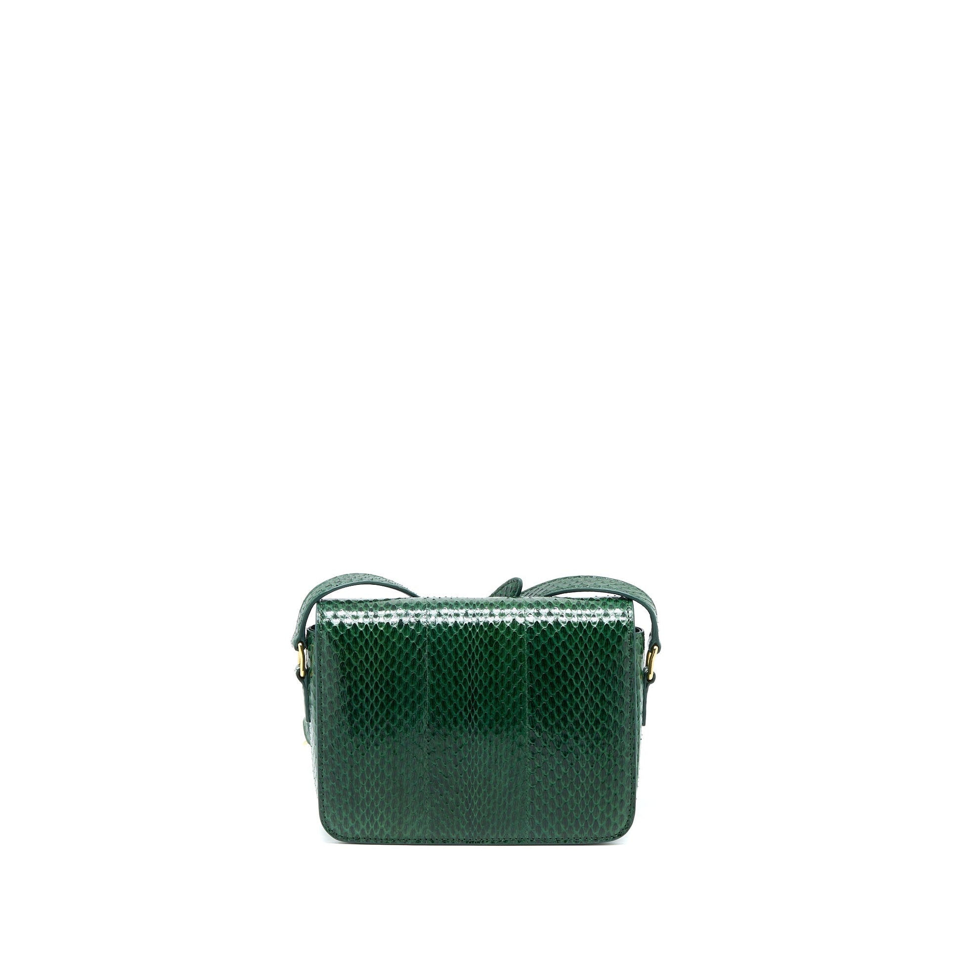 Celine Triomphe Purse Water Snake Handbag Leather Green Travel Bag