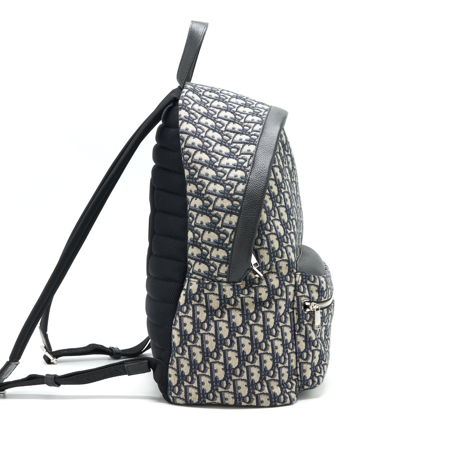 Dior Rider Backpack And Oblique Jacquard Handbag Black Beige