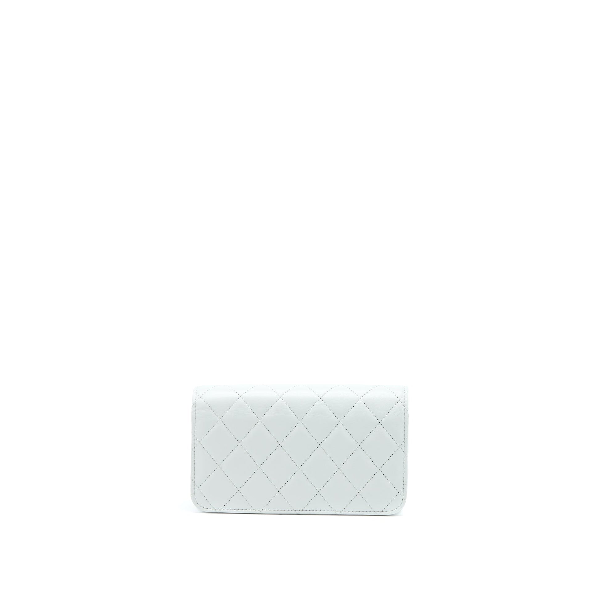Chanel 23C Pearl Crush Flap Lambskin Light Grey Shoulder Bag
