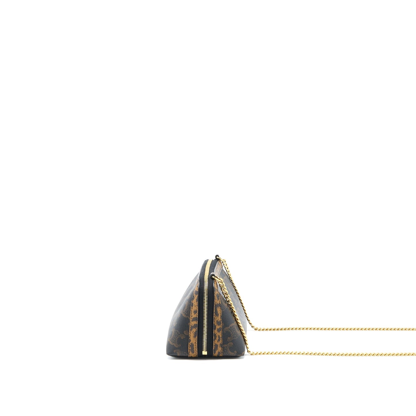 Celine Clutch With Triomphe Limited Edge Print Handbag Canvas Chain Clutch Bag