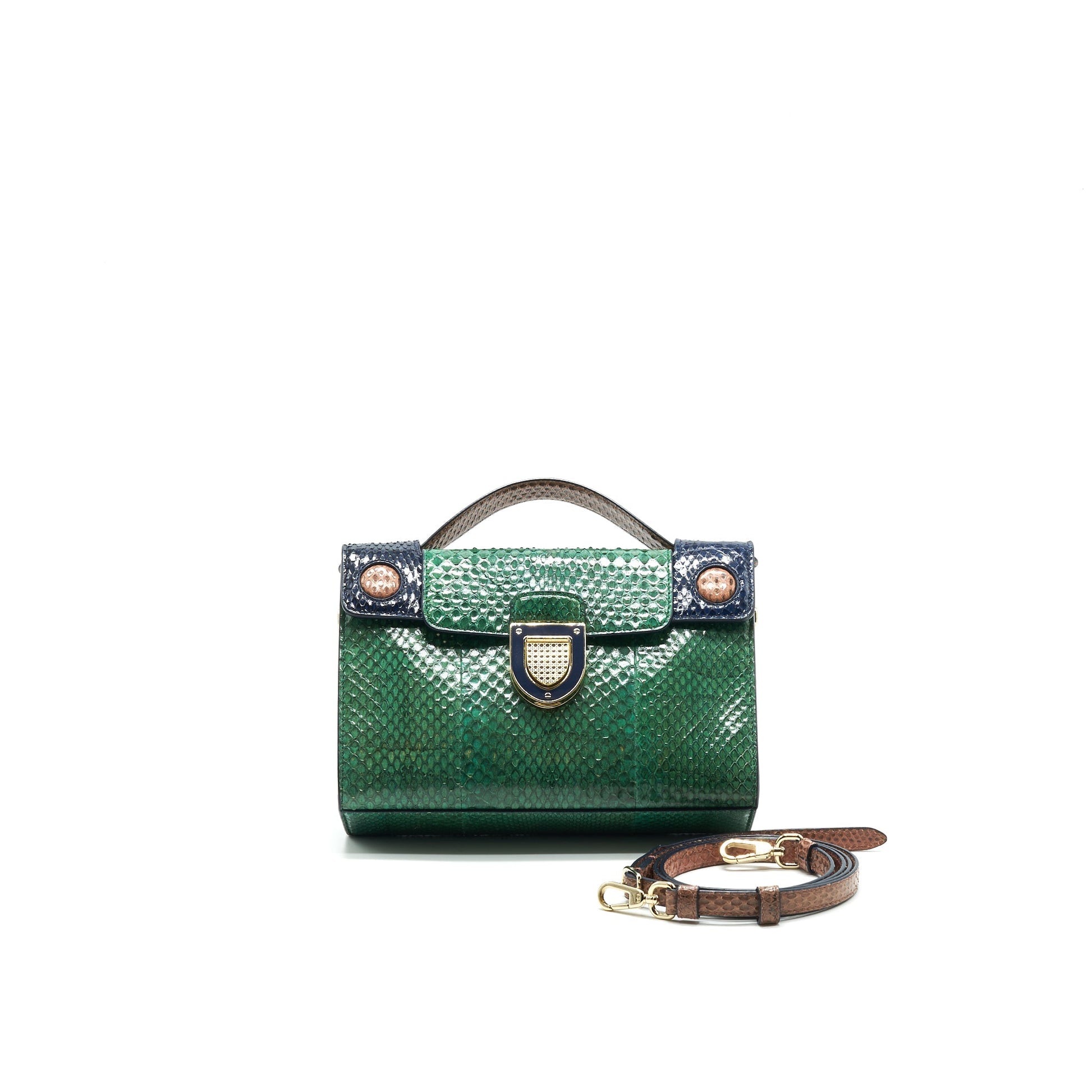 Dior Christian Python Clutch Crossbody Purse Multi Colour Crossbody Bag
