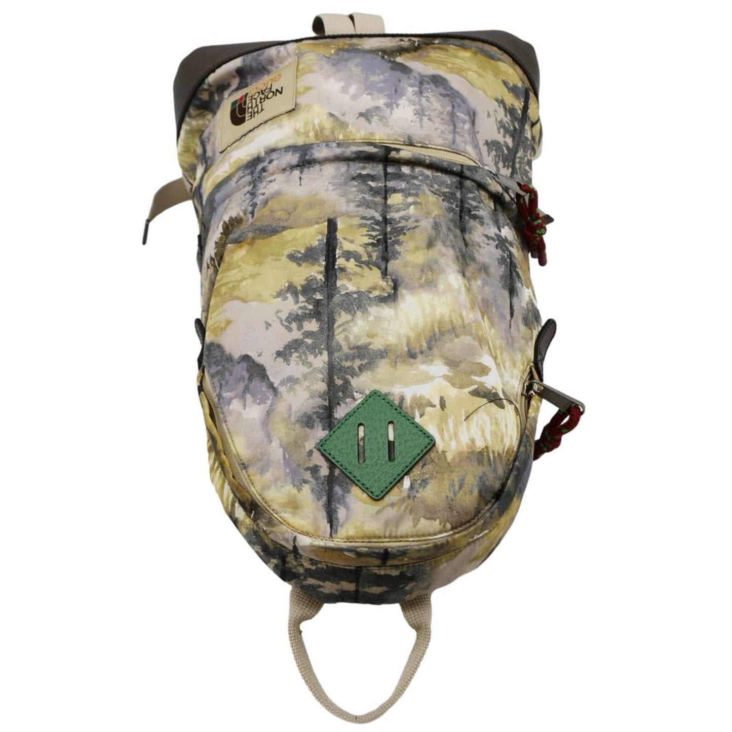 Gucci The North Face Mountain Print Backpack Multicolor Nylon