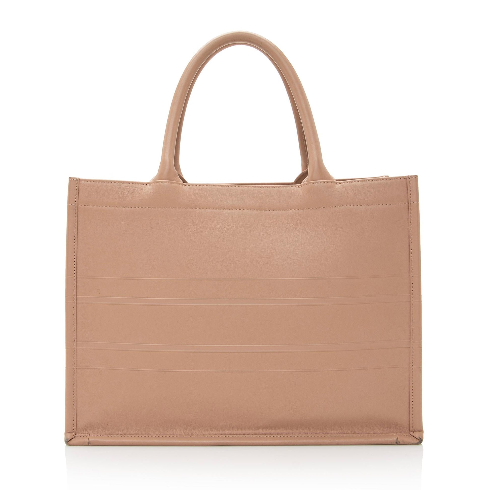 Dior Calfskin Book Tote Shf Small Tote Bag