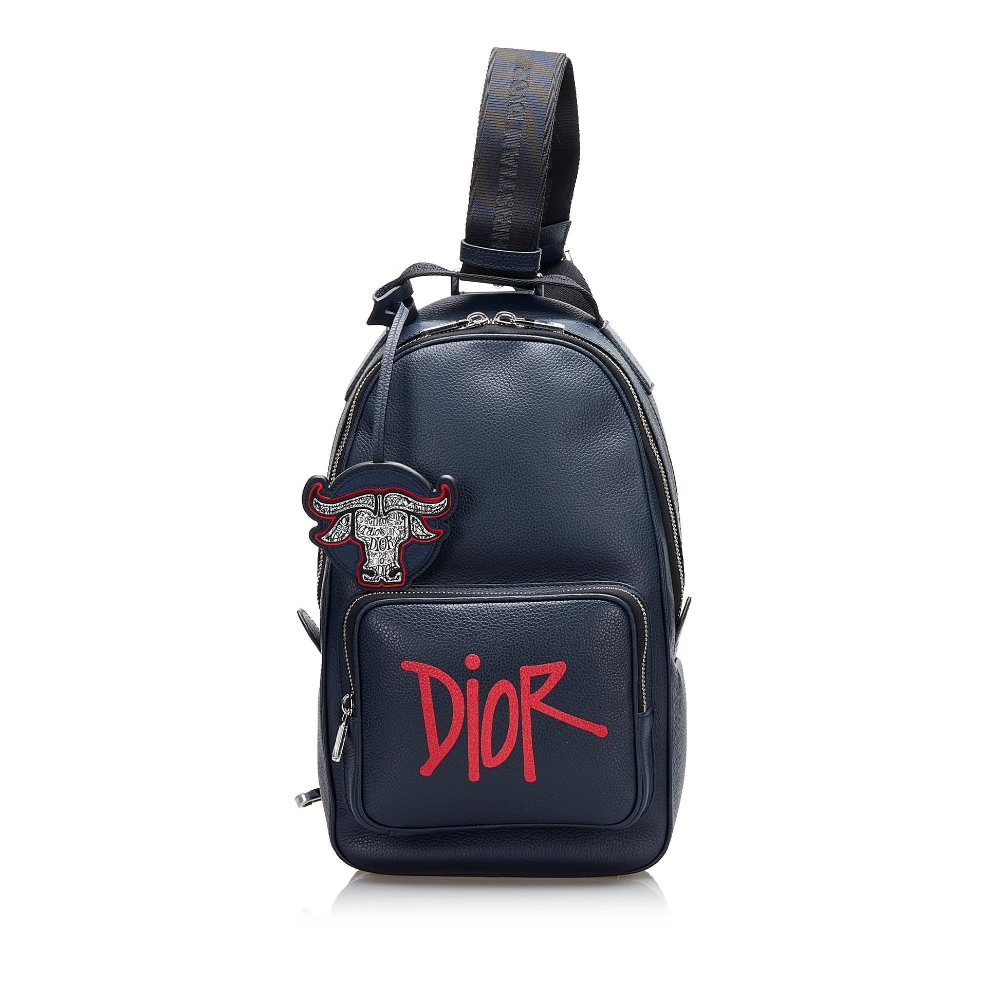 Dior Shawn Stussy Year Of The Ox Sling Shg Crossbody Bag