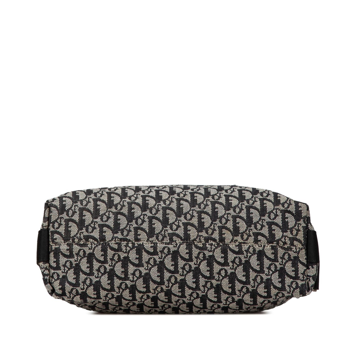 Dior issimo Trotter Crossbody Canvas Crossbody Bag