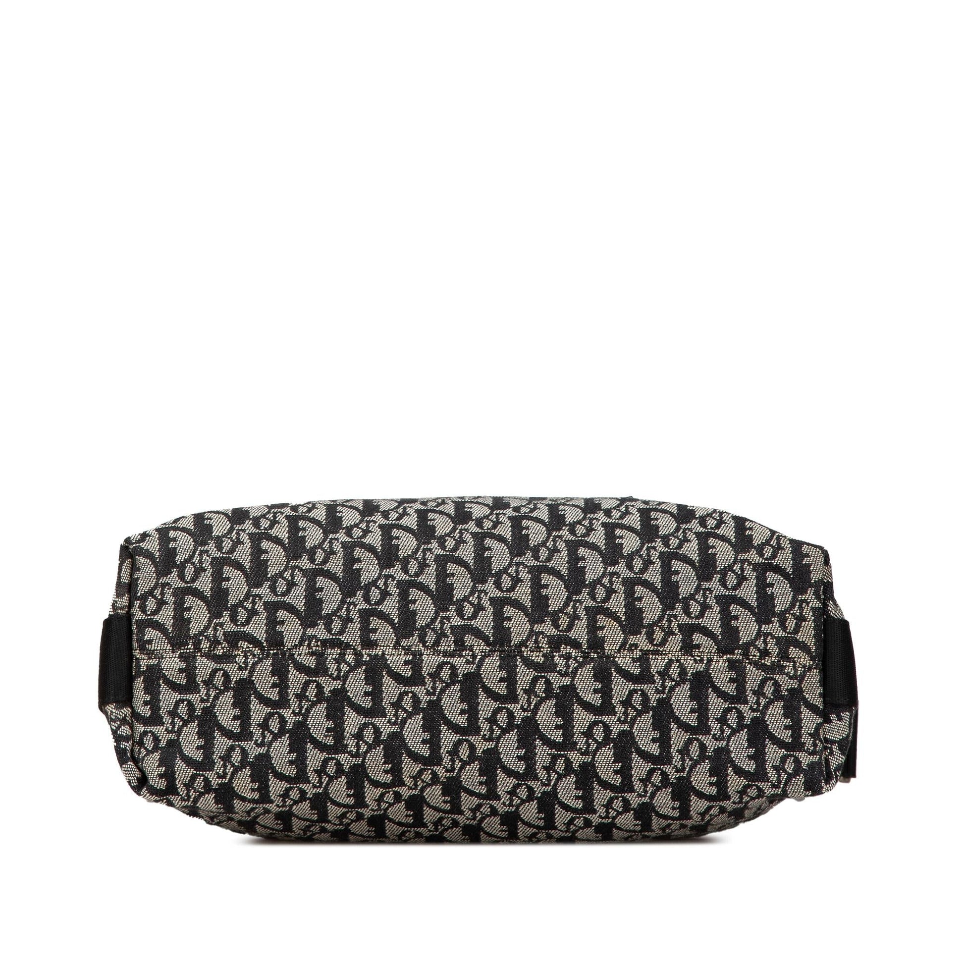 Dior issimo Trotter Crossbody Canvas Crossbody Bag