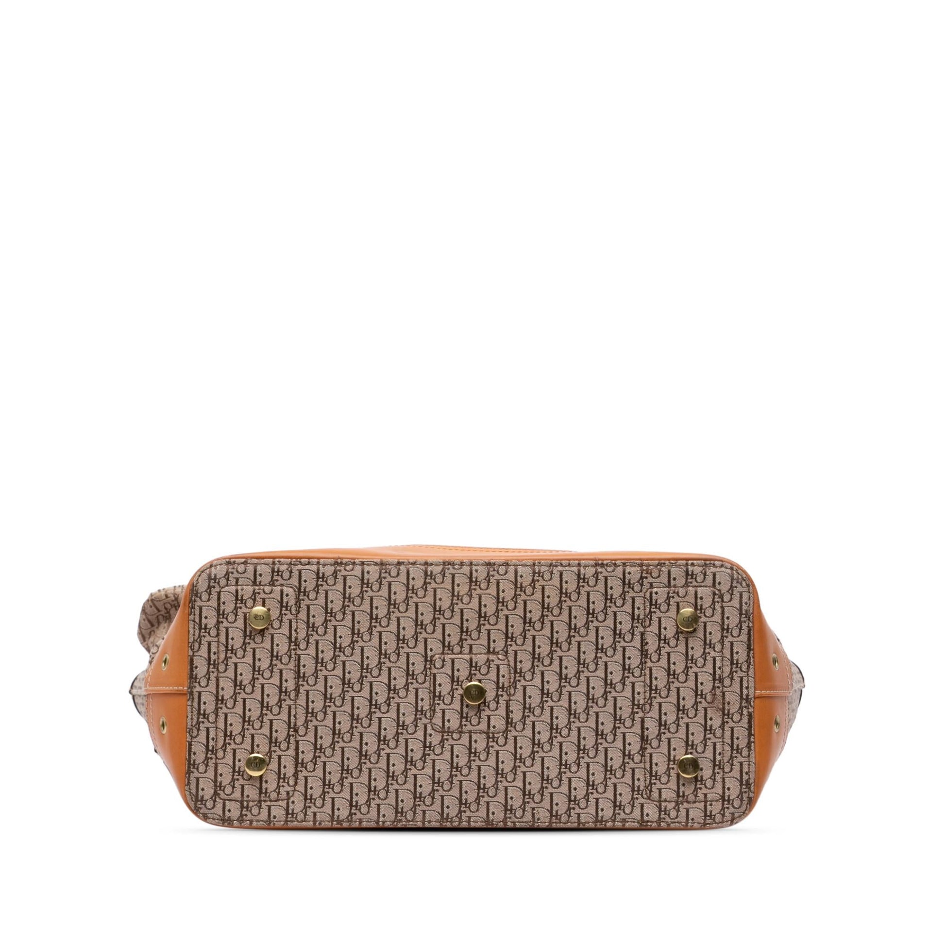 Dior issimo Trotter Street Chic Columbus Tote Canvas Tote Bag