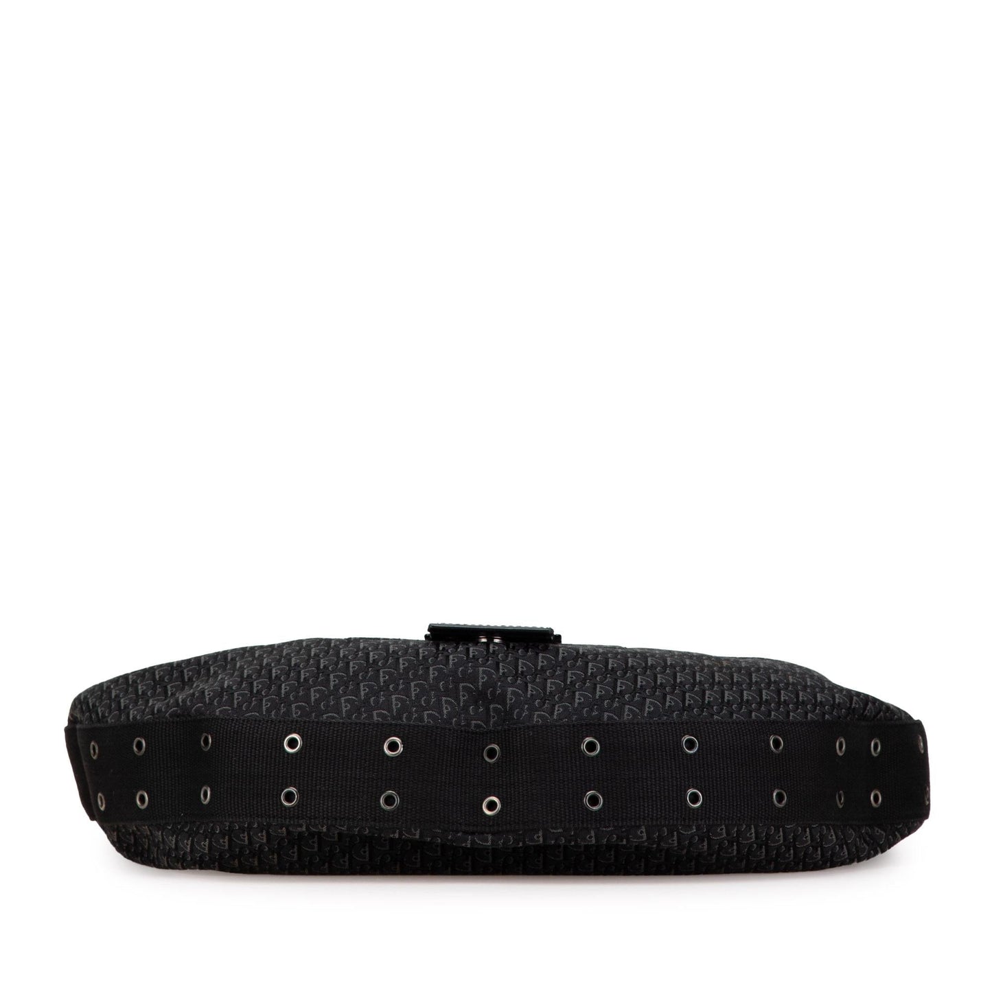Dior issimo Trotter Street Chic Hobo Canvas Shoulder Bag