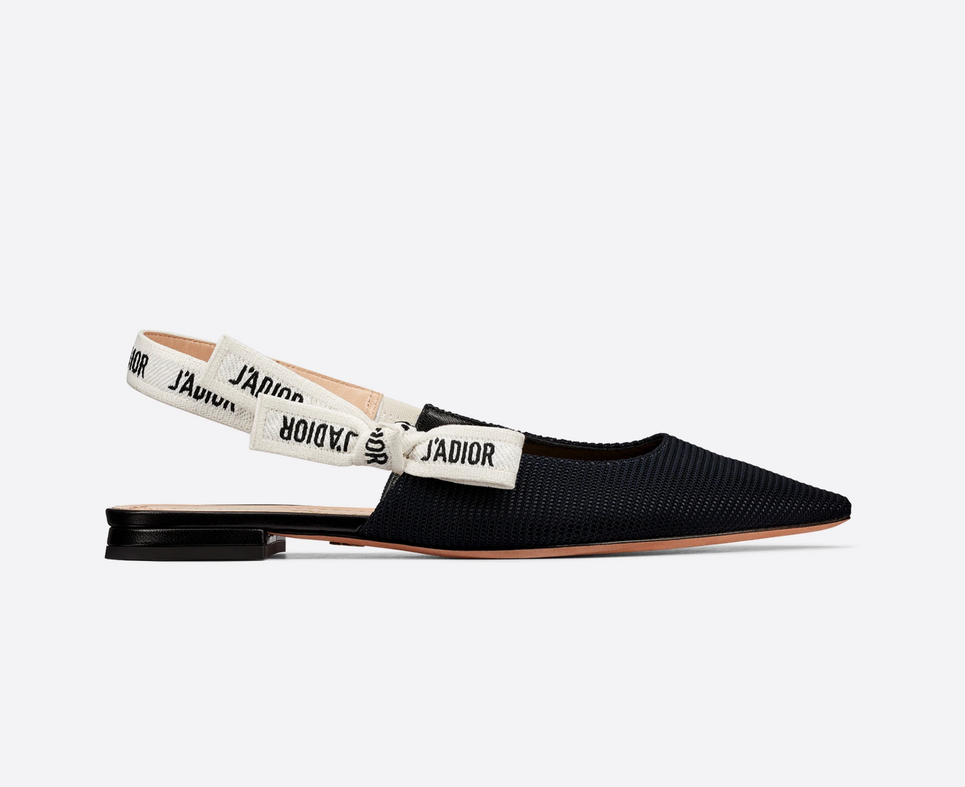 Dior J' Flat Handbag Shoes