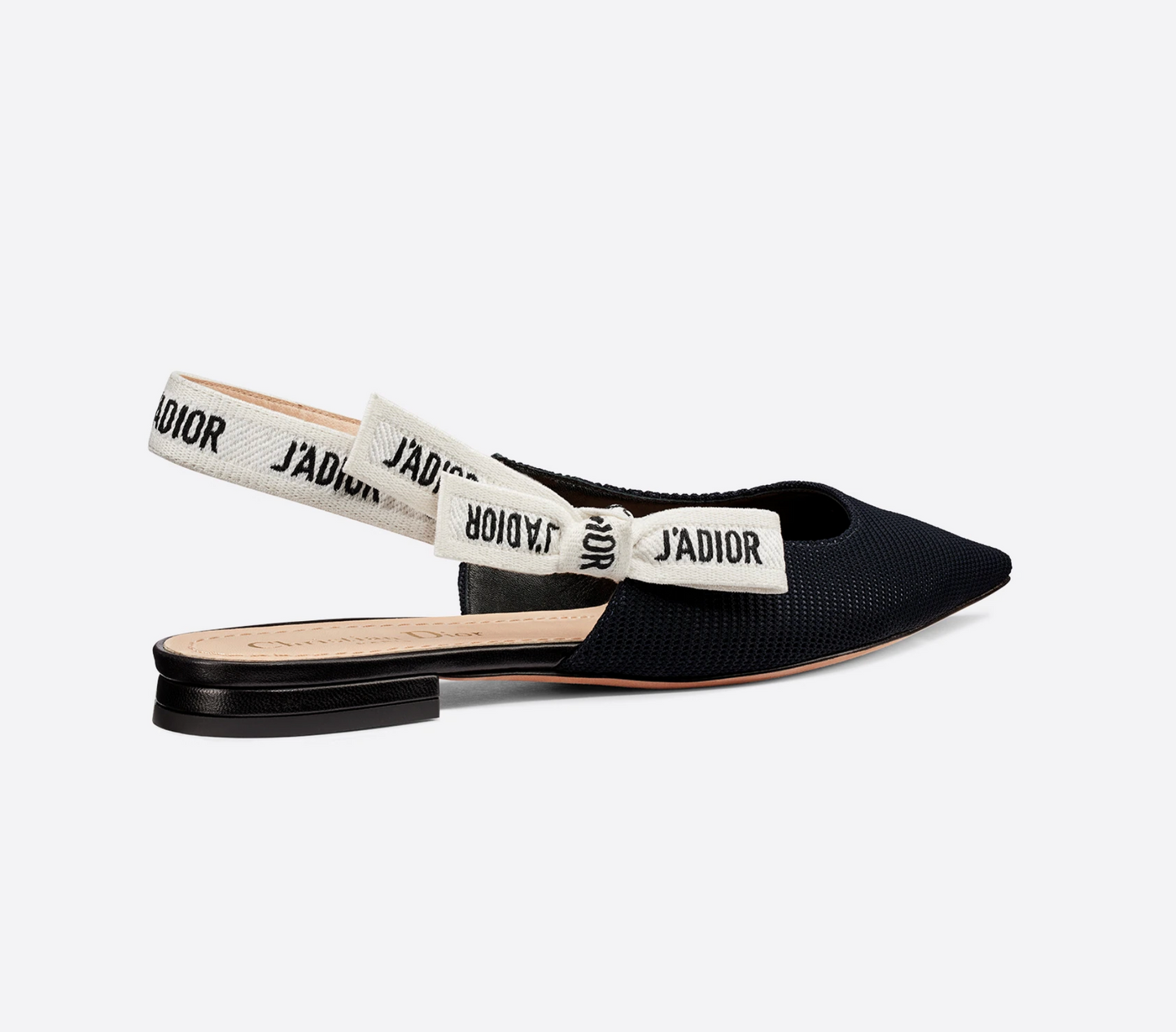 Dior J' Flat Handbag Shoes