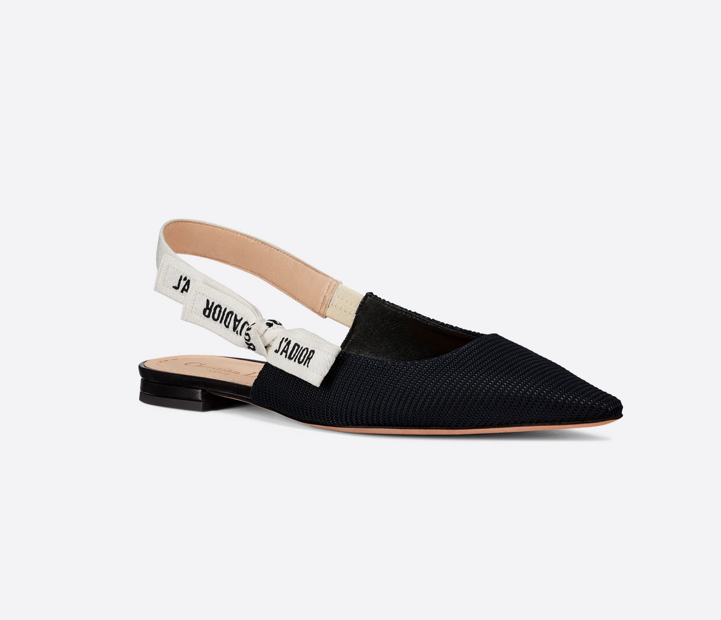 Dior J' Flat Handbag Shoes