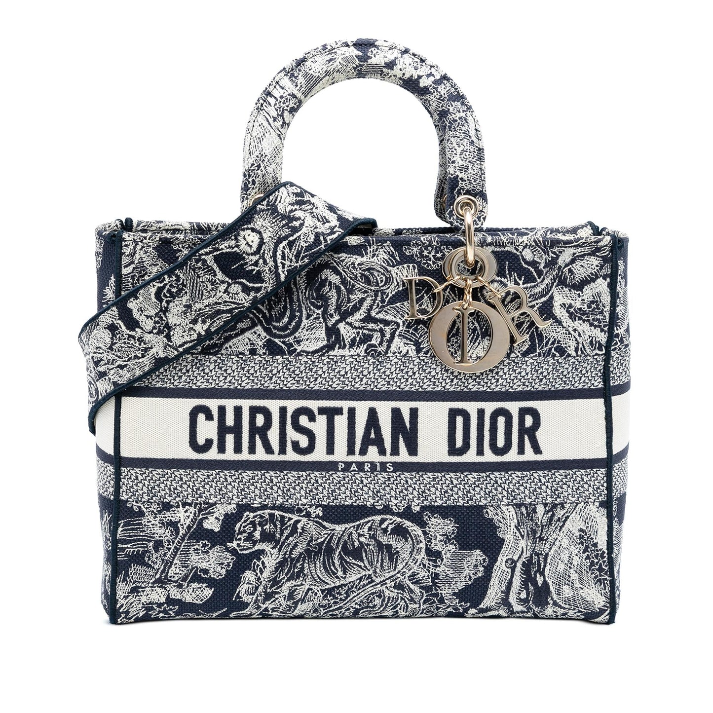 Dior Toile De Jouy Lady Lite Satchel Bag Canvas Large Embroidered
