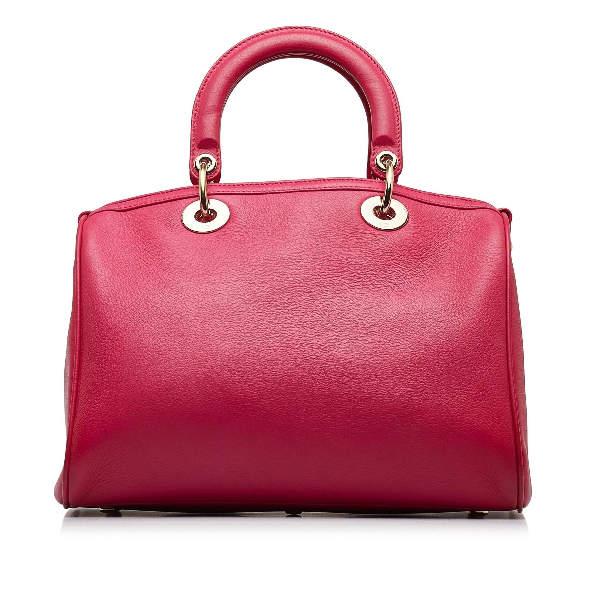 Dior Satchel Shg Iggotx Leather Satchel Bag