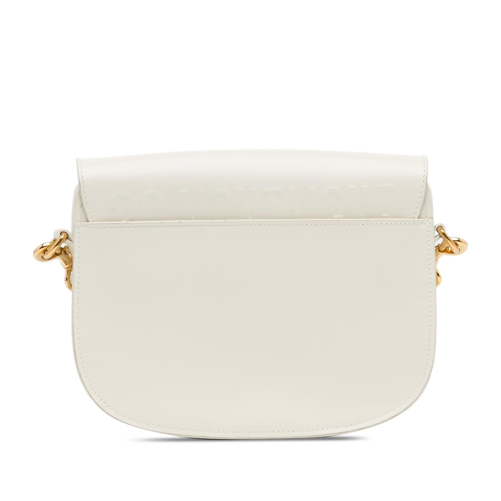 Dior Bobby Shg 2Vtene Crossbody Bag Medium