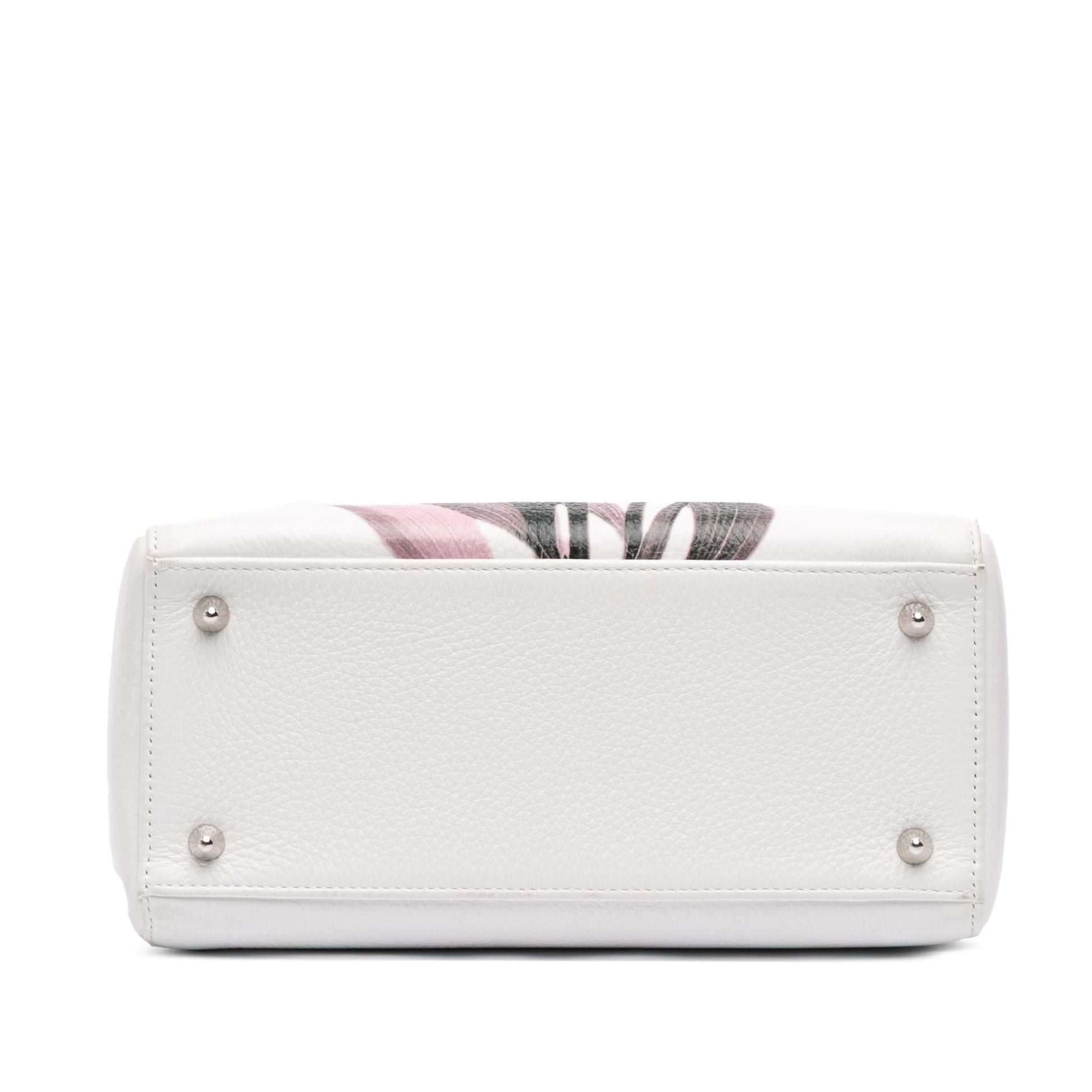 Dior Deerskin Floral Printed Lady Satchel Bag Medium Lady Dior 1