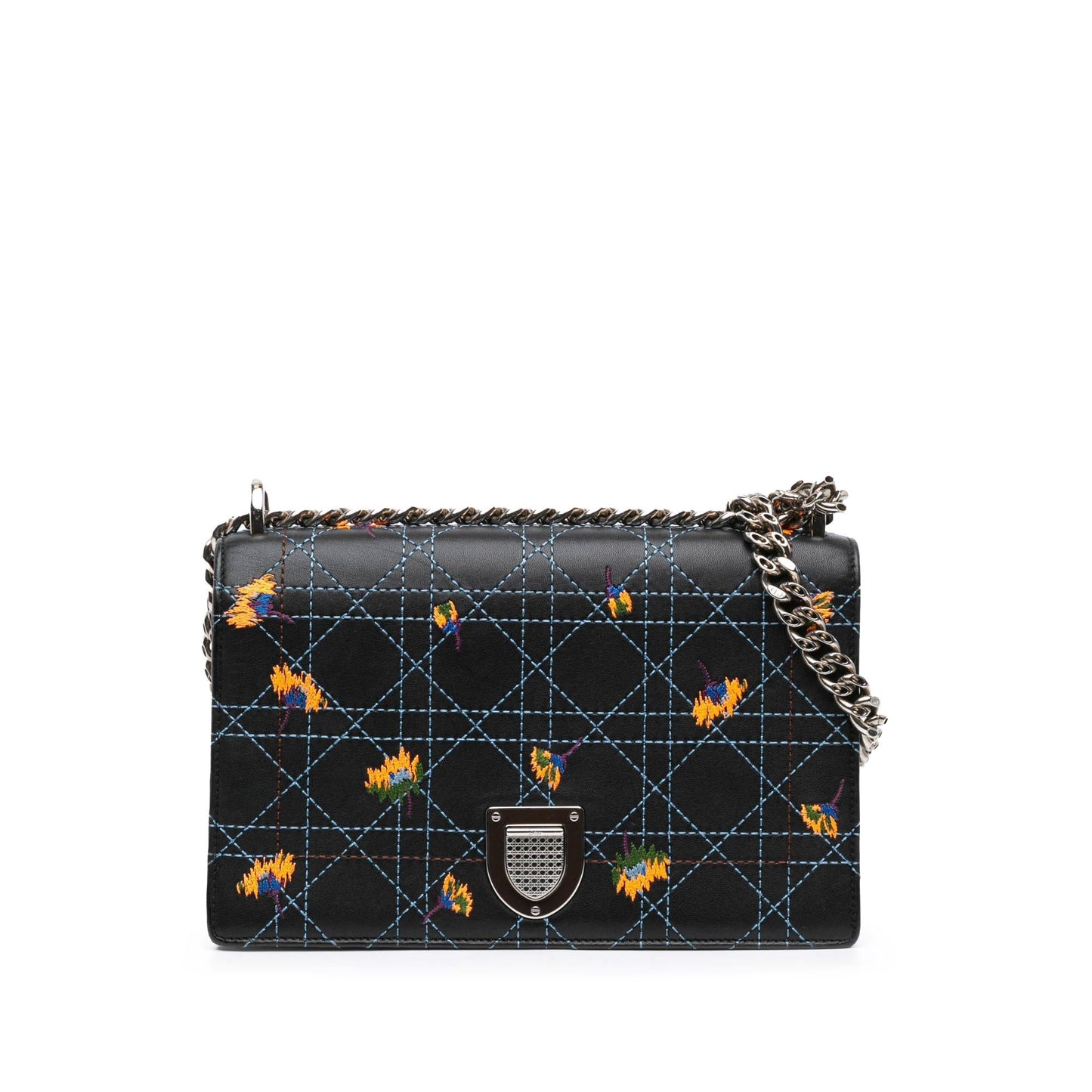 Dior Calfskin ama Shoulder Bag Medium Embroidered Flap