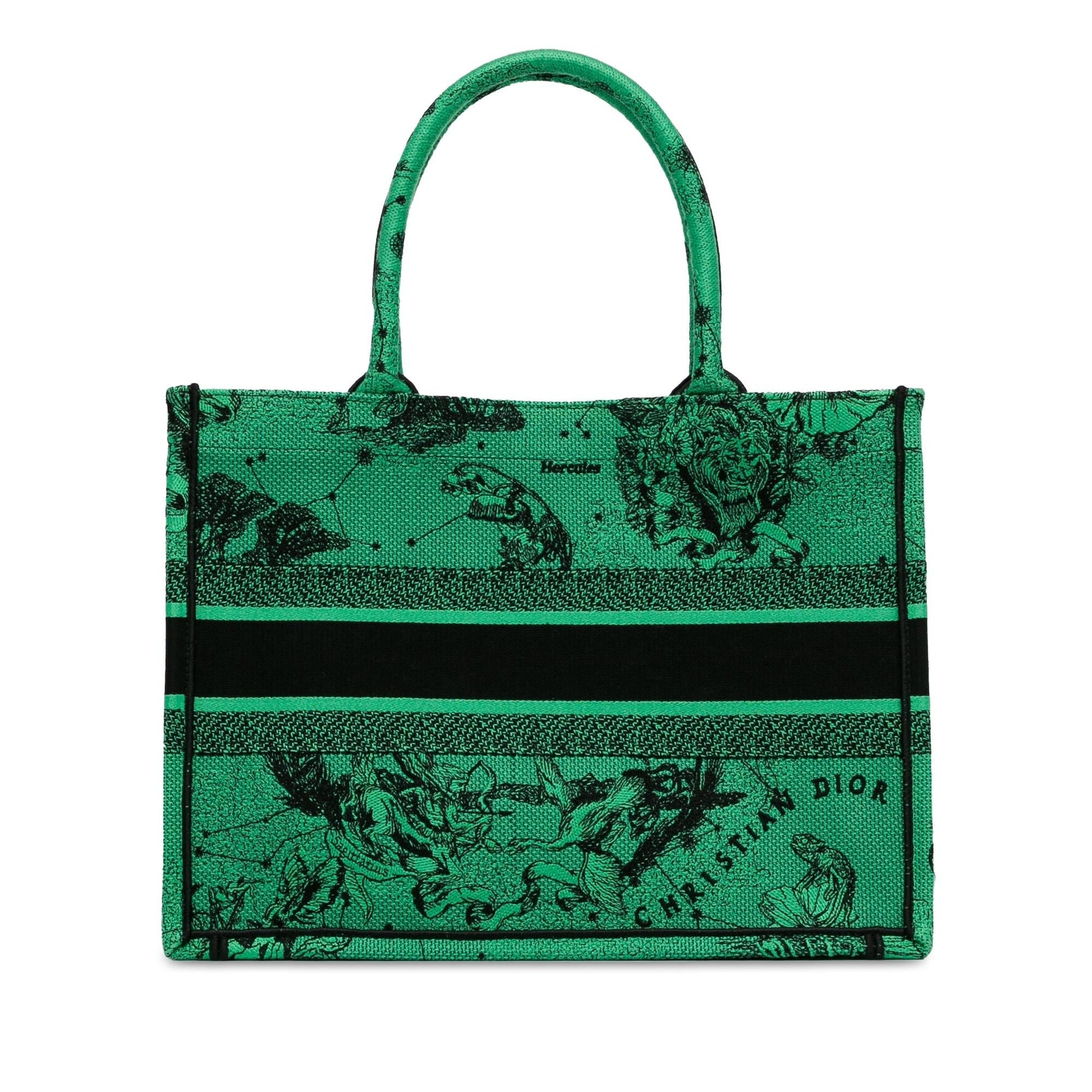 Dior Book Tote Canvas Medium Embroidered Tote Bag Canvas Book Tote