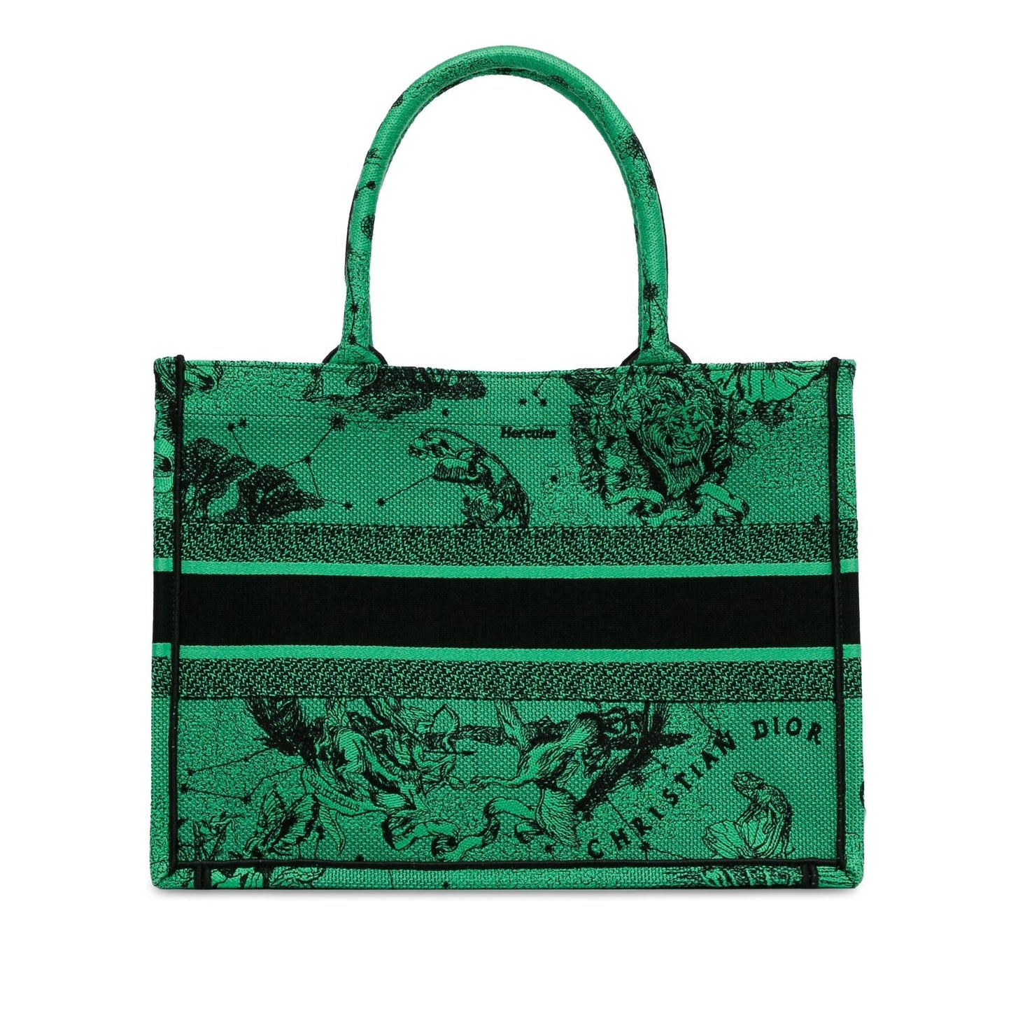 Dior Book Tote Canvas Medium Embroidered Tote Bag Book Tote 1