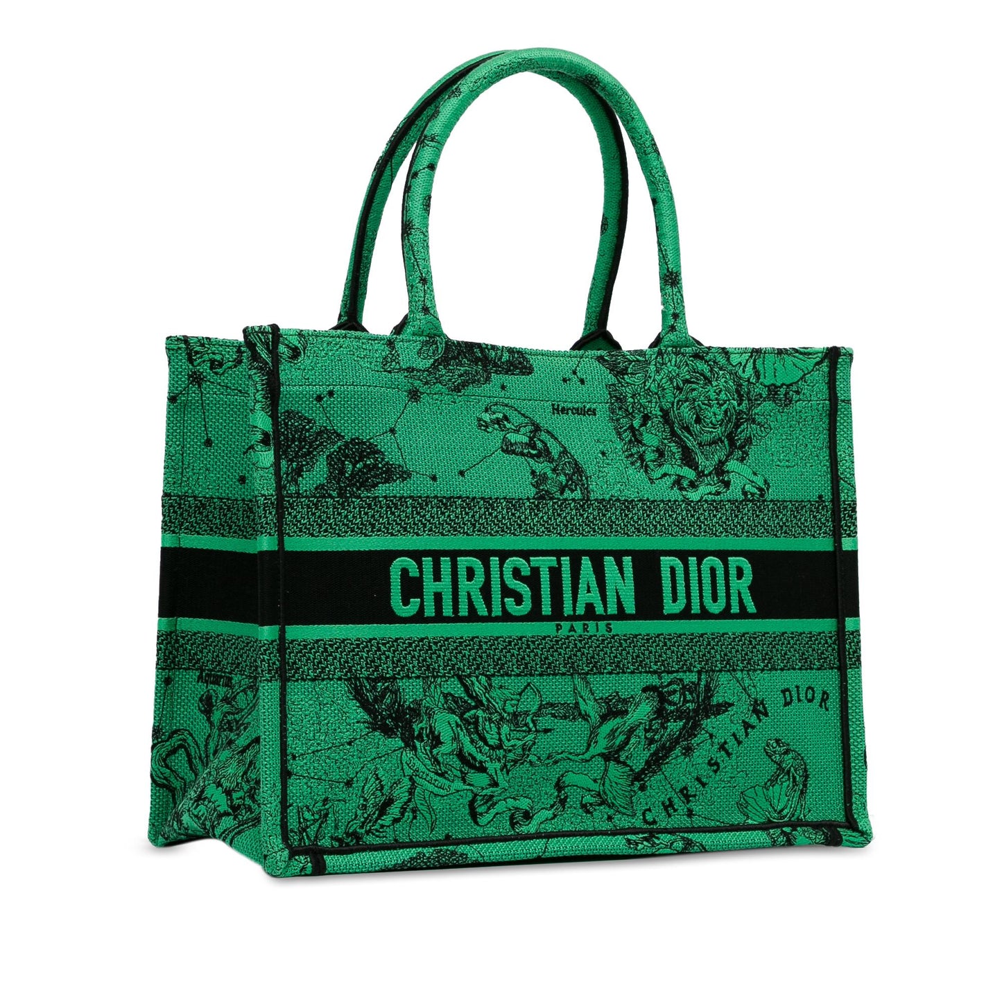 Dior Book Tote Canvas Medium Embroidered Tote Bag Book Tote 1
