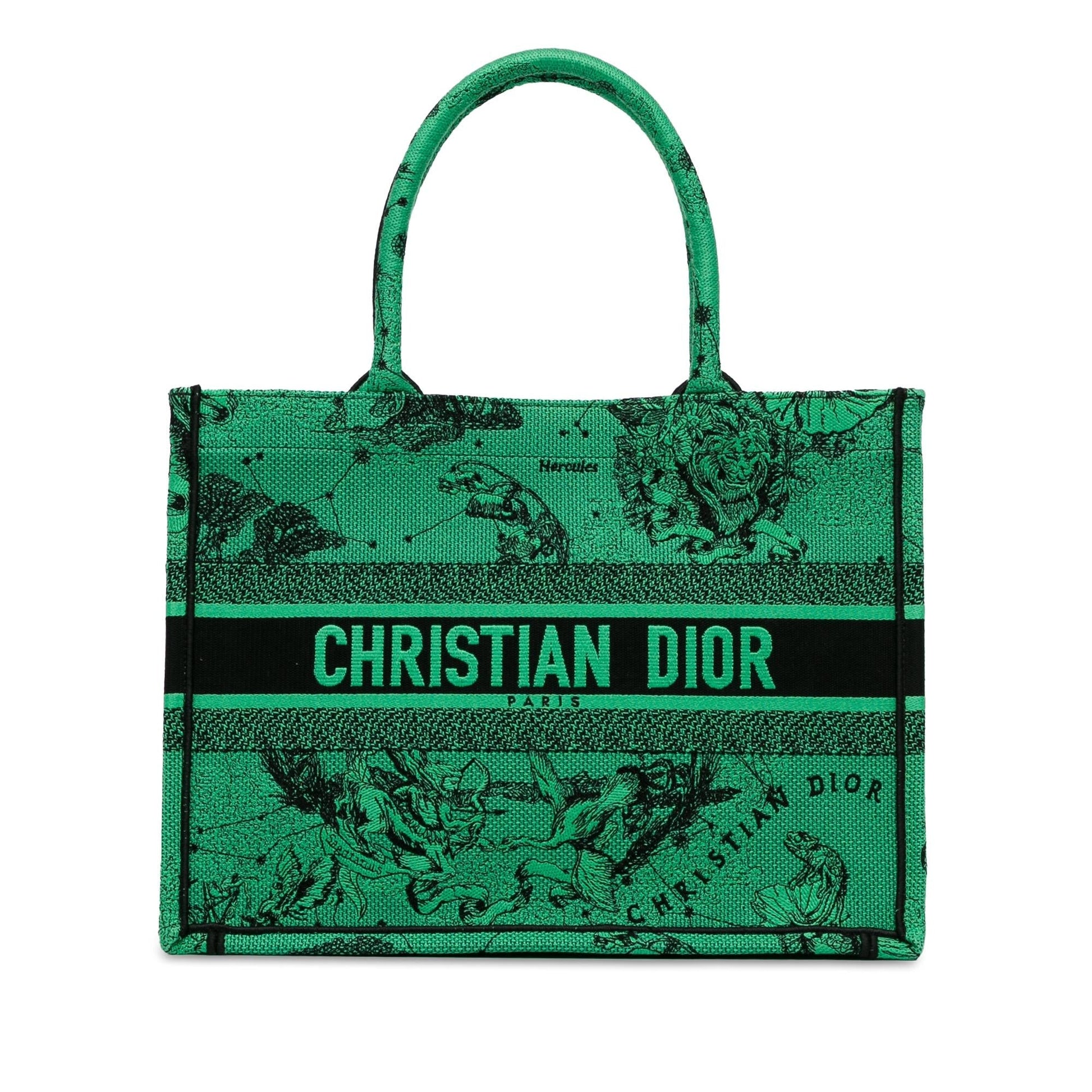 Dior Book Tote Canvas Medium Embroidered Tote Bag Book Tote 2