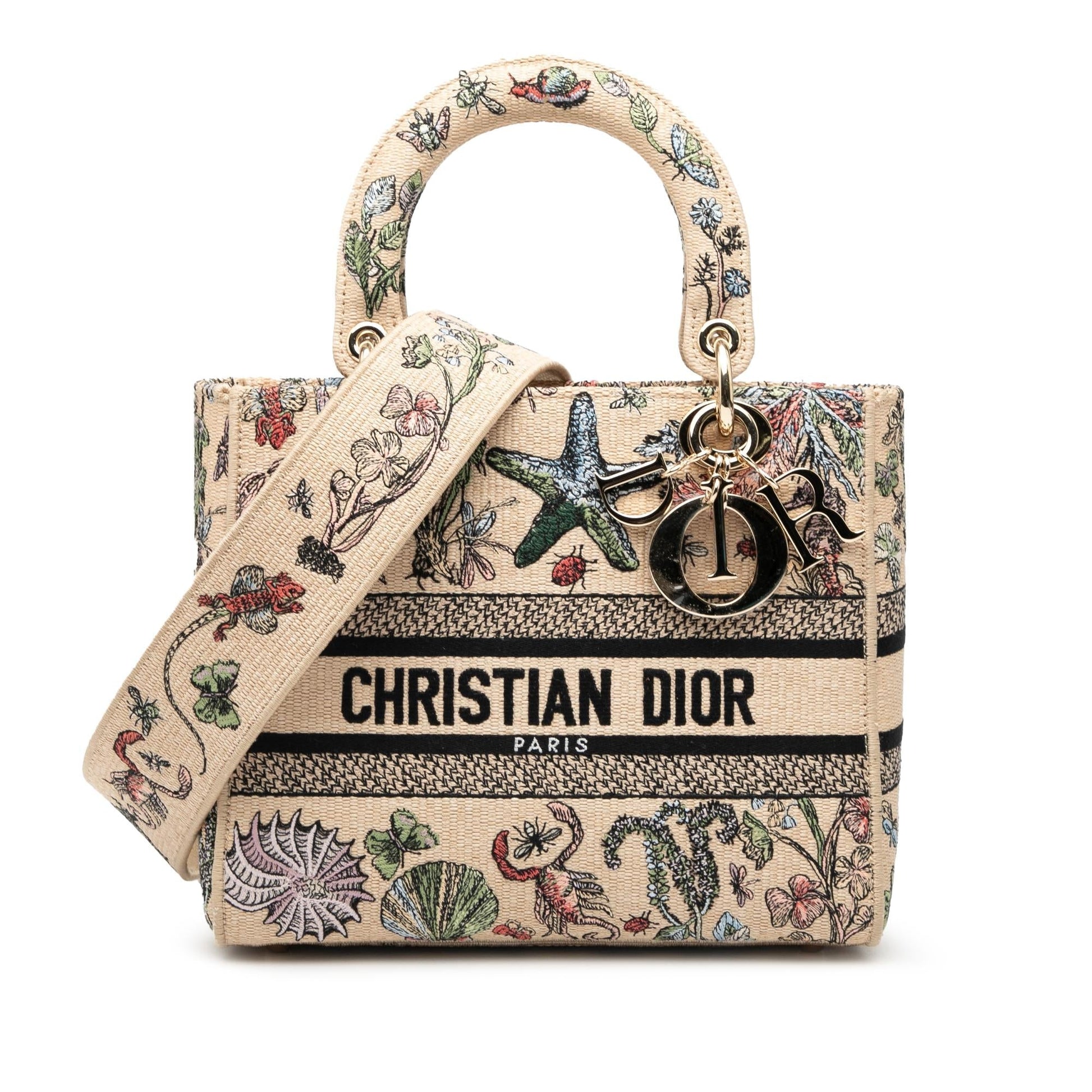 Dior Lady Lite Satchel Bag Canvas Medium Embroidered