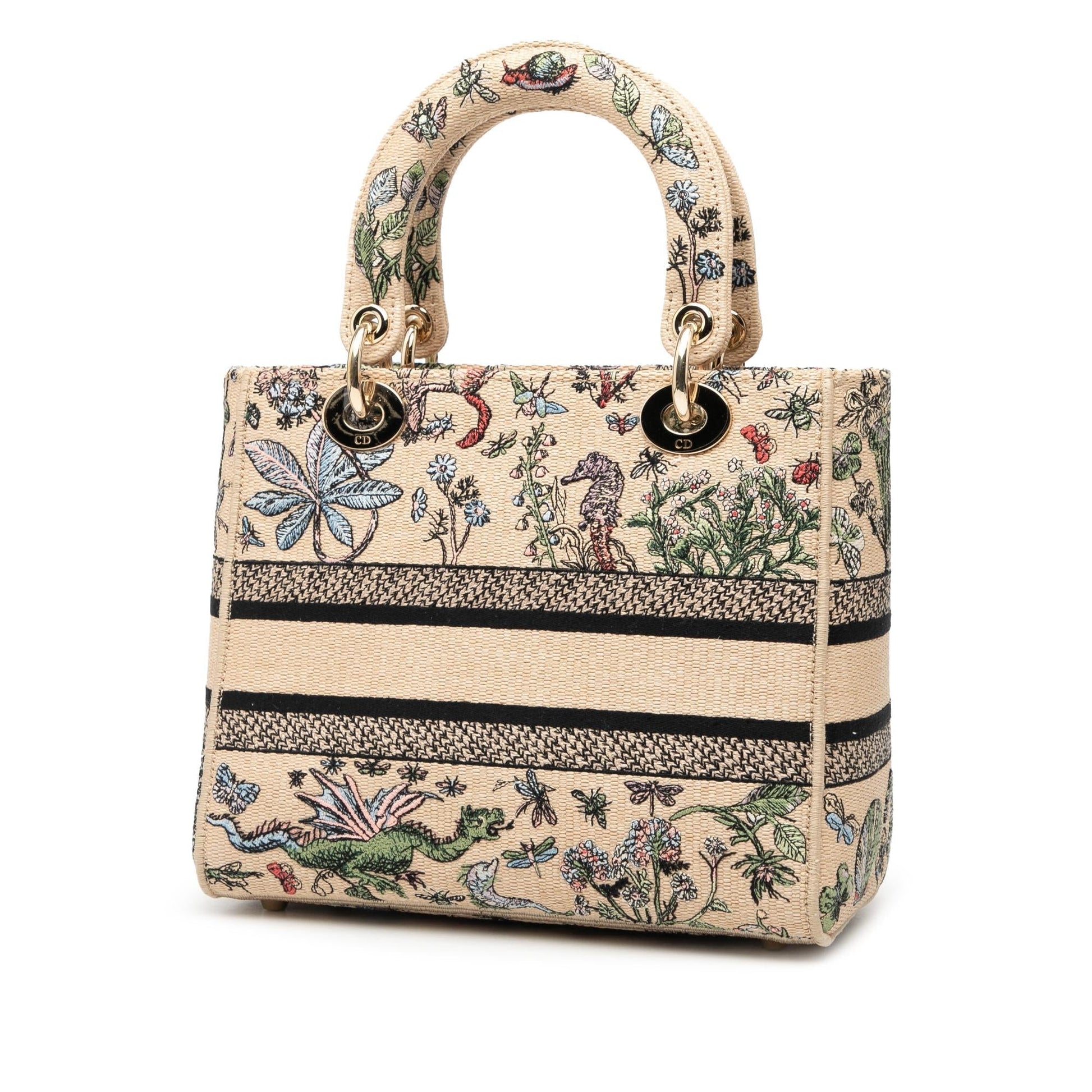 Dior Lady Lite Satchel Bag Canvas Medium Embroidered