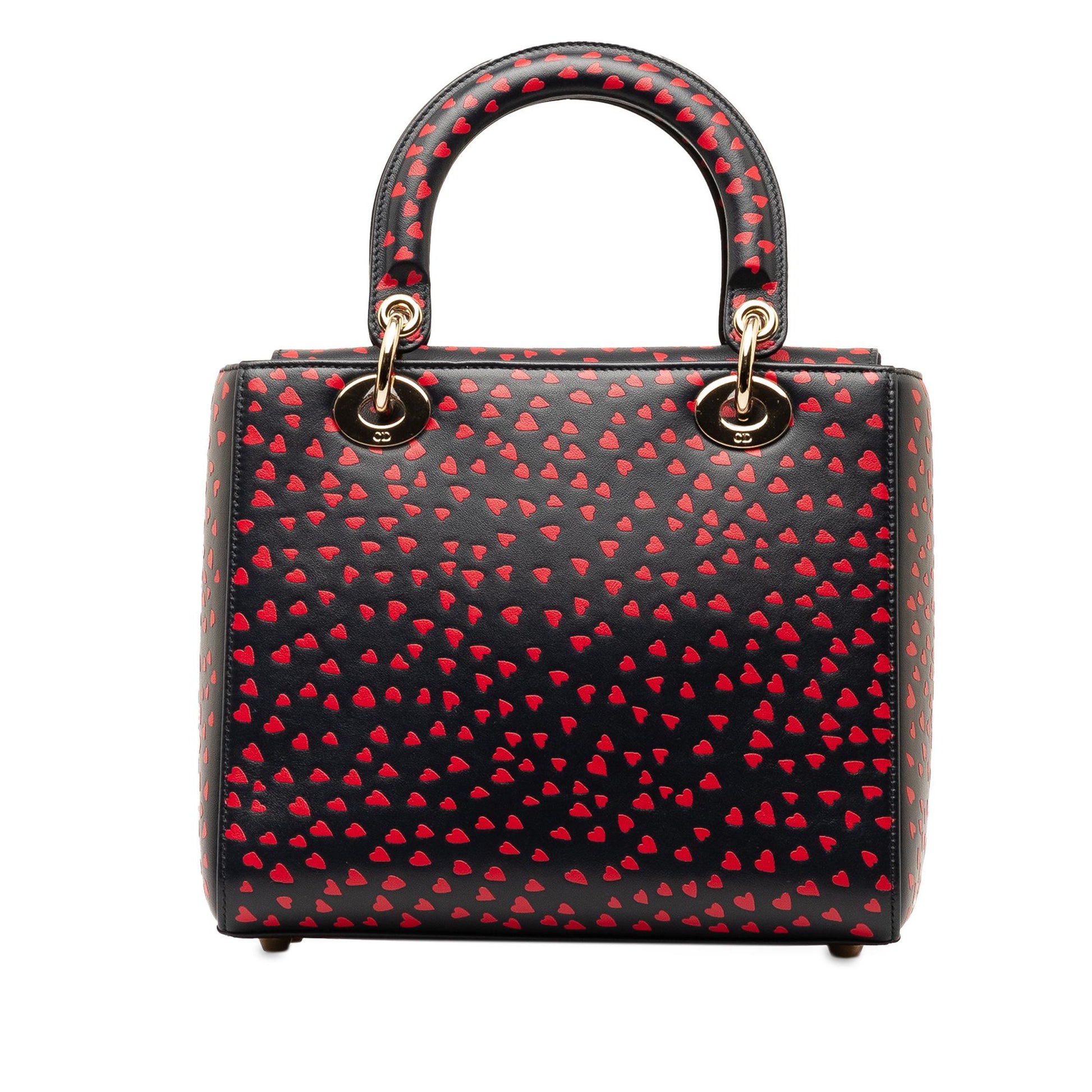 Dior Love Paris Lady Satchel Shg Bettle Medium Satchel Bag