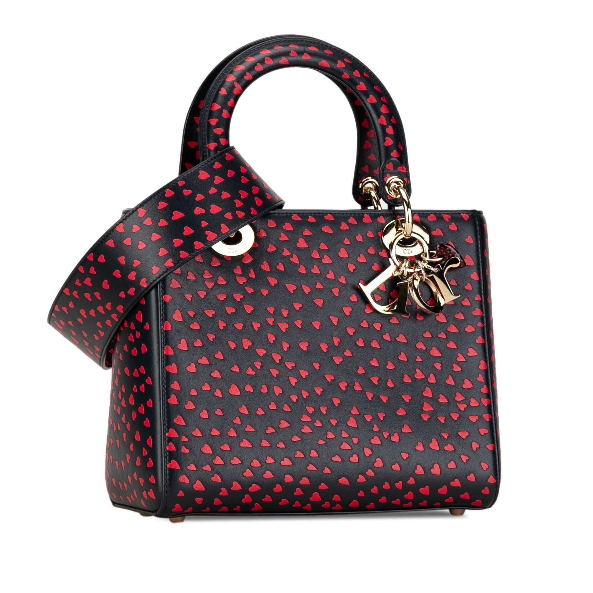 Dior Love Paris Lady Satchel Medium Satchel Bag