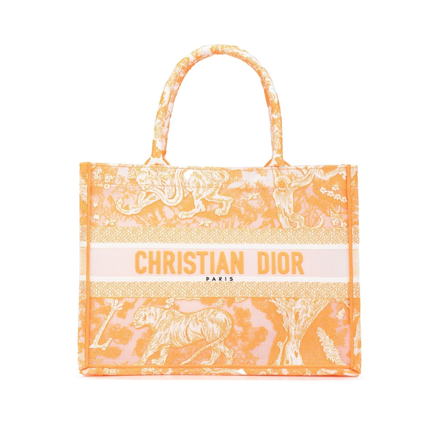 Dior Toile De Jouy Book Tote Medium Tote Bag Jouy Book Tote