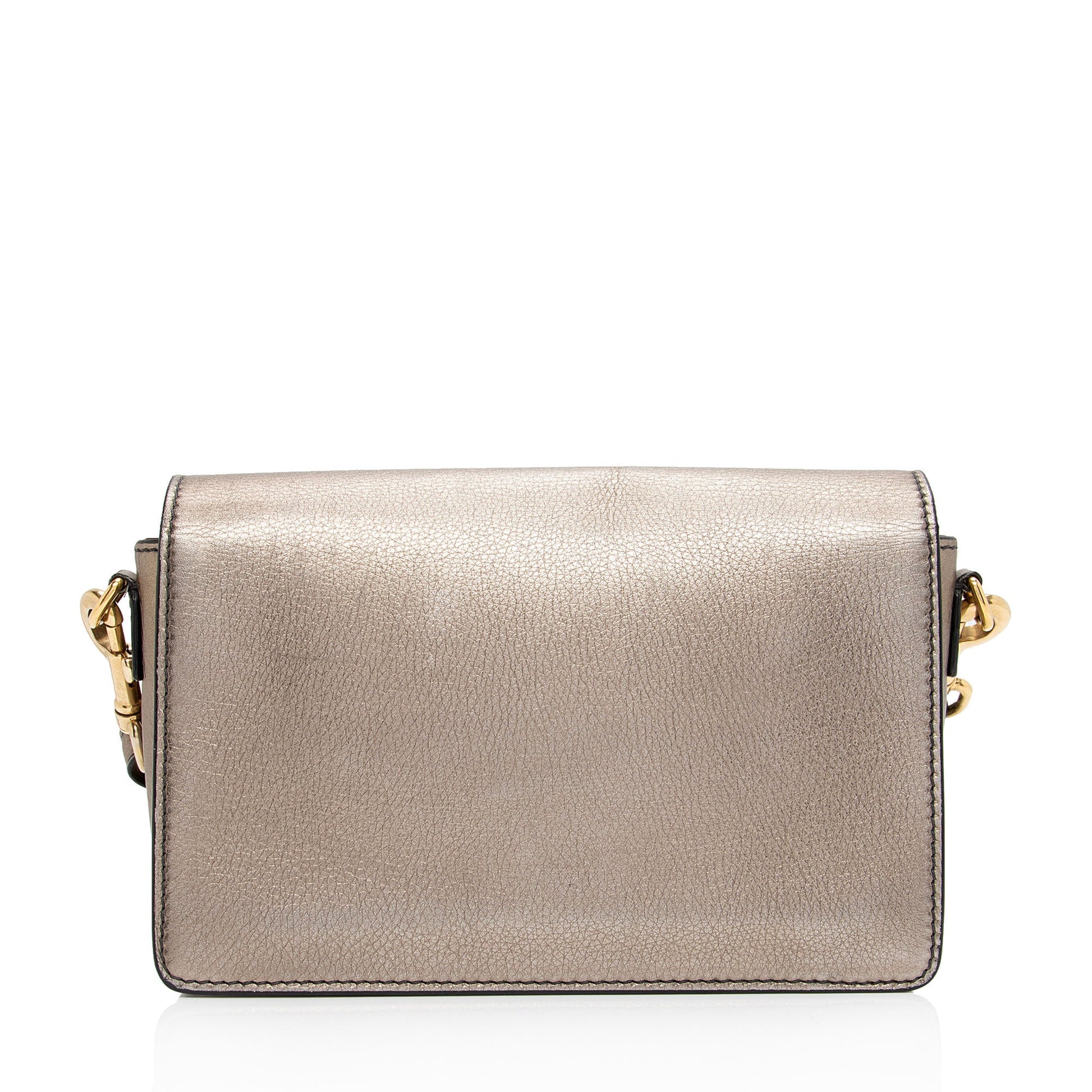 Dior Metallic Grained Calfskin Dio Evolution Bag Flap Crossbody Bag