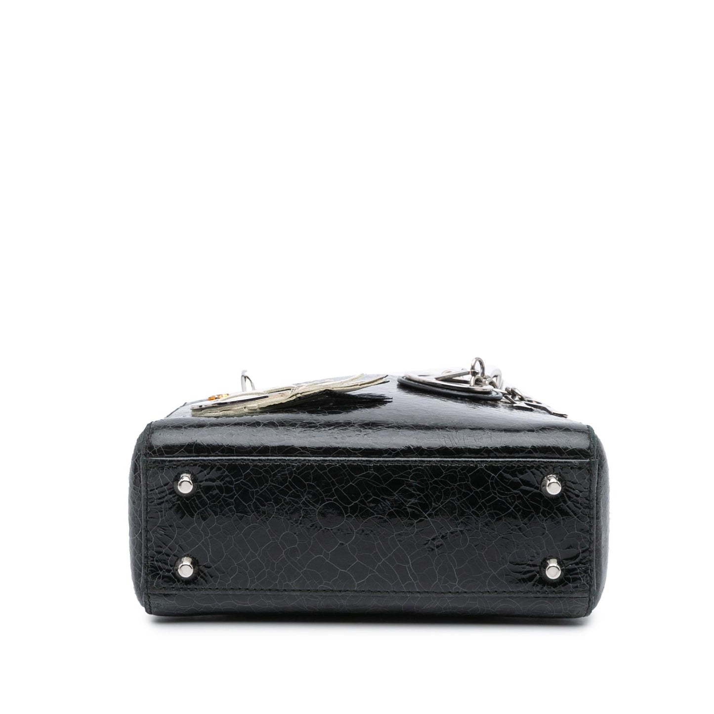 Dior Ceramic Effect Deerskin Jeweled Swan Lady Satchel Bag Mini