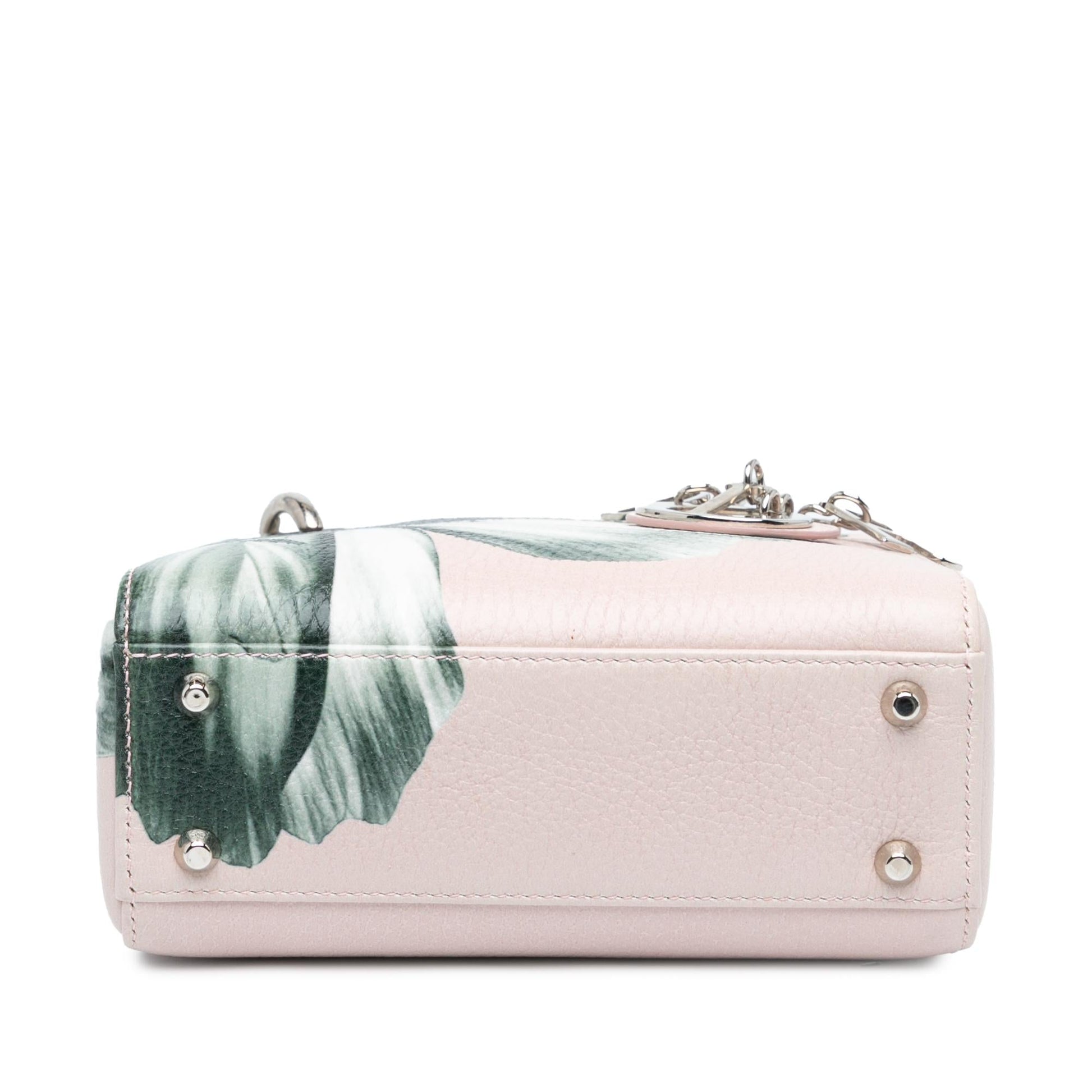 Dior Deerskin Flower Printed Lady Satchel Bag Mini