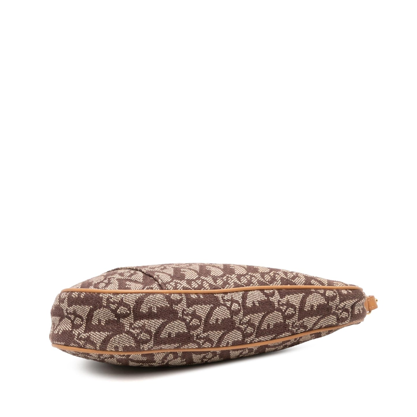 Dior issimo Saddle Pochette Shoulder Bag Canvas Mini Saddle Pochette 6