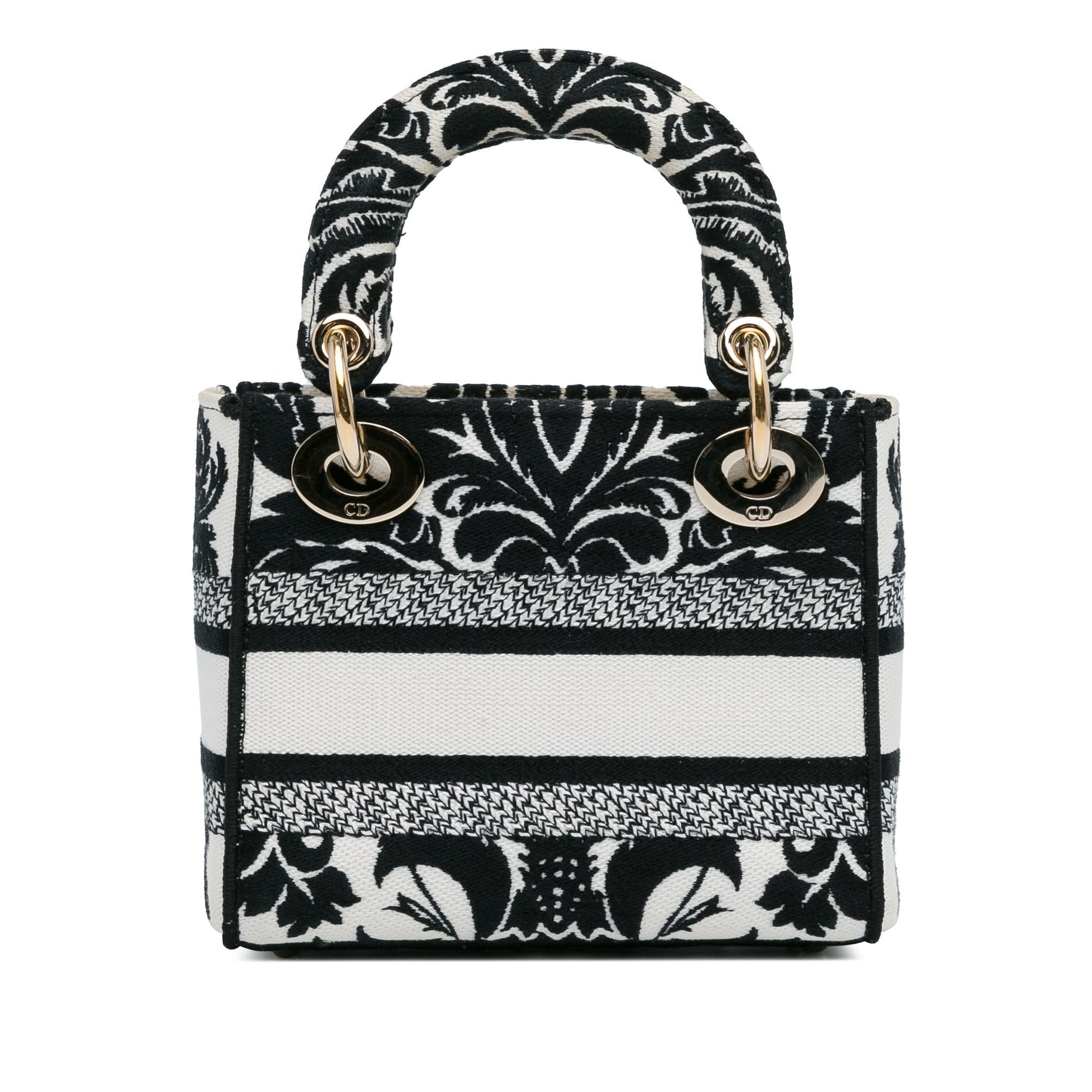 Dior Lady Lite Shg Rfozme Satchel Bag Canvas Mini Embroidered