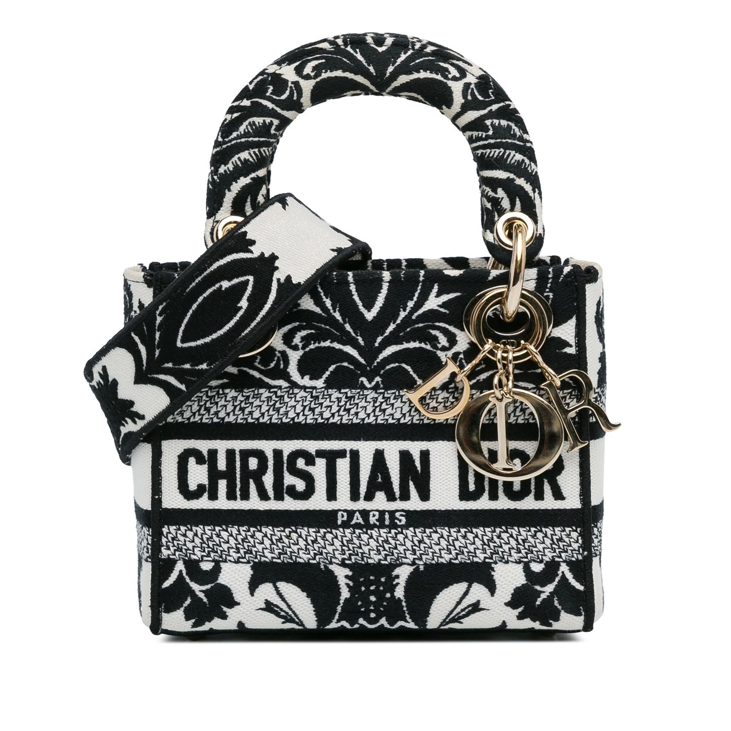Dior Lady Lite Shg Rfozme Satchel Bag Canvas Mini Embroidered