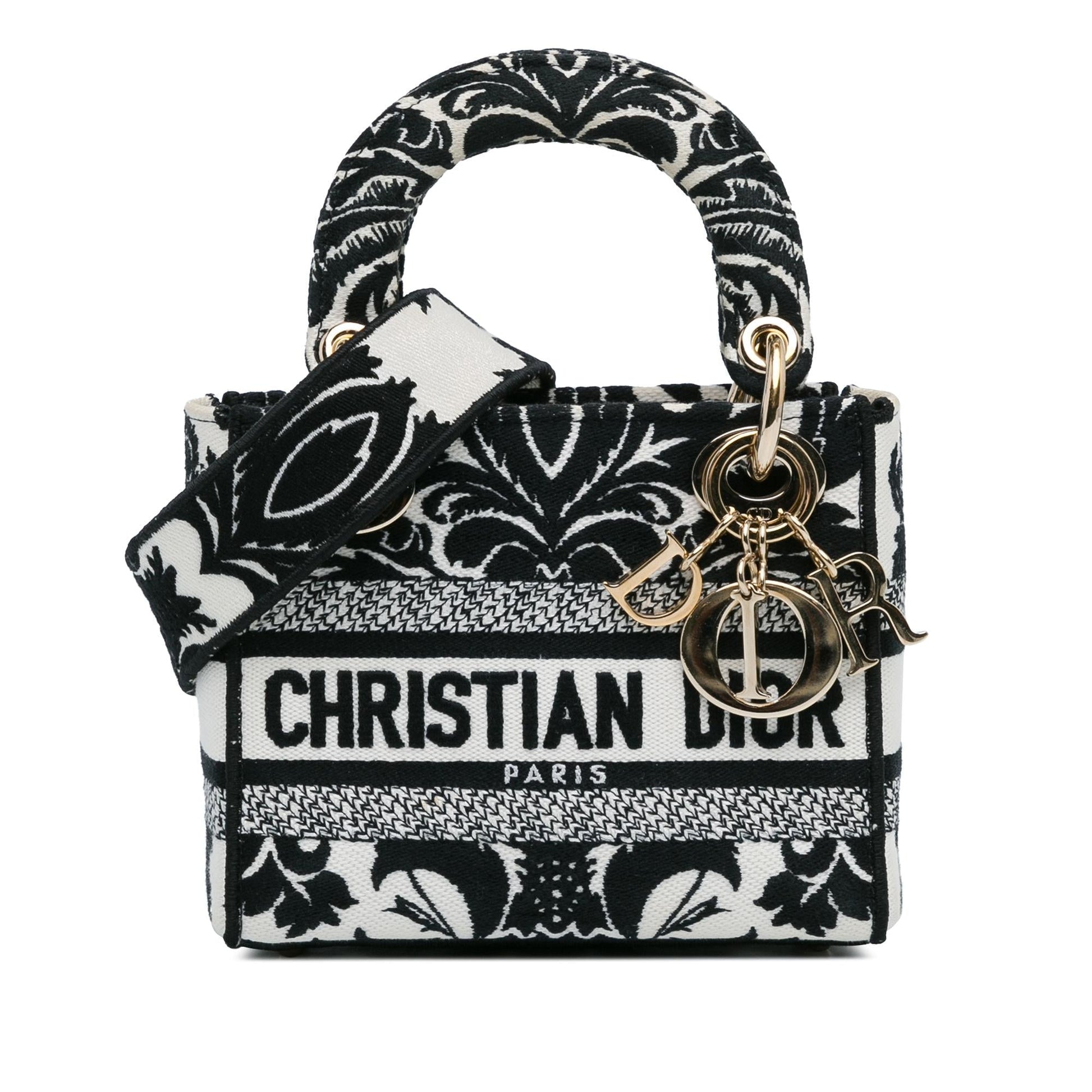 Dior Lady Lite Shg Rfozme Satchel Bag Canvas Mini Embroidered