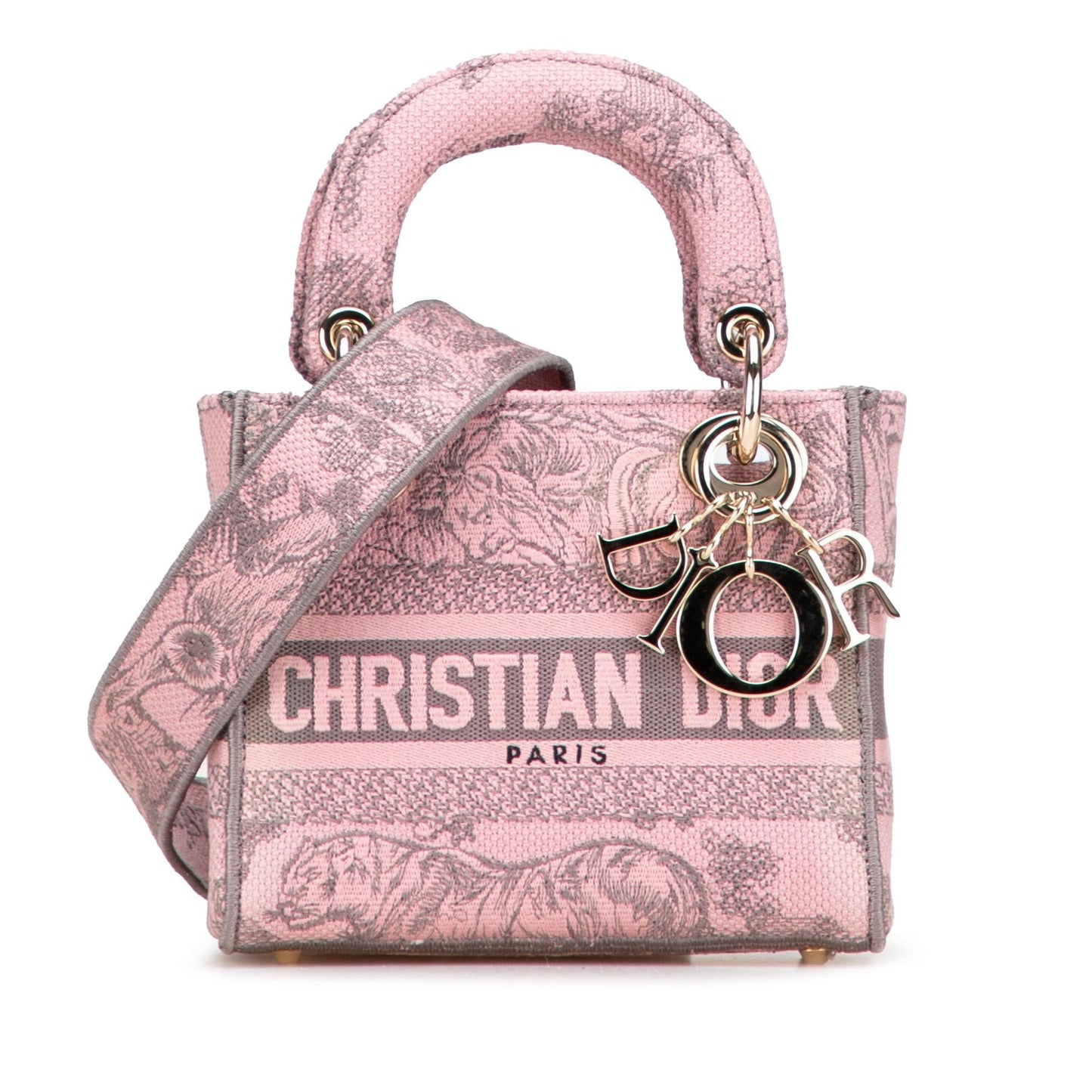 Dior Toile De Jouy Lady Lite Satchel Bag Canvas Mini Embroidered