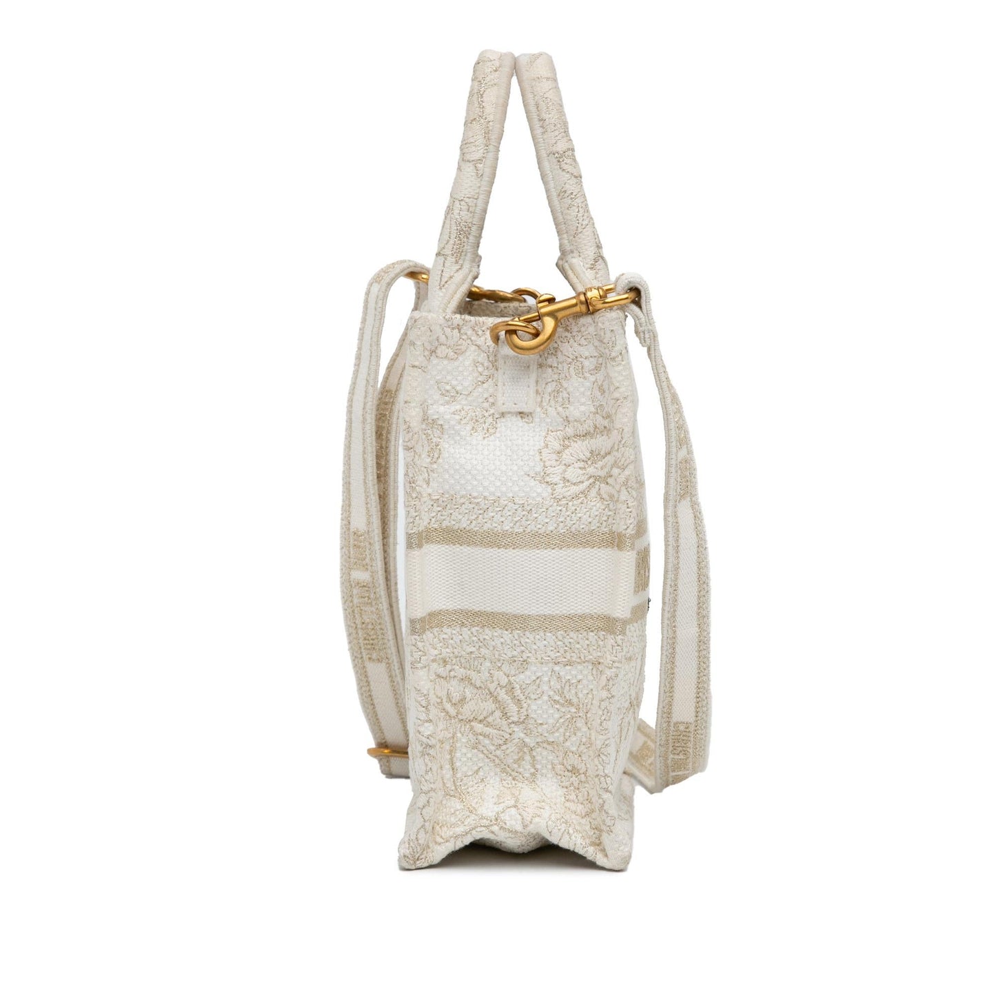 Dior Jardin Hiver Vertical Book Tote Mini Tote Bag