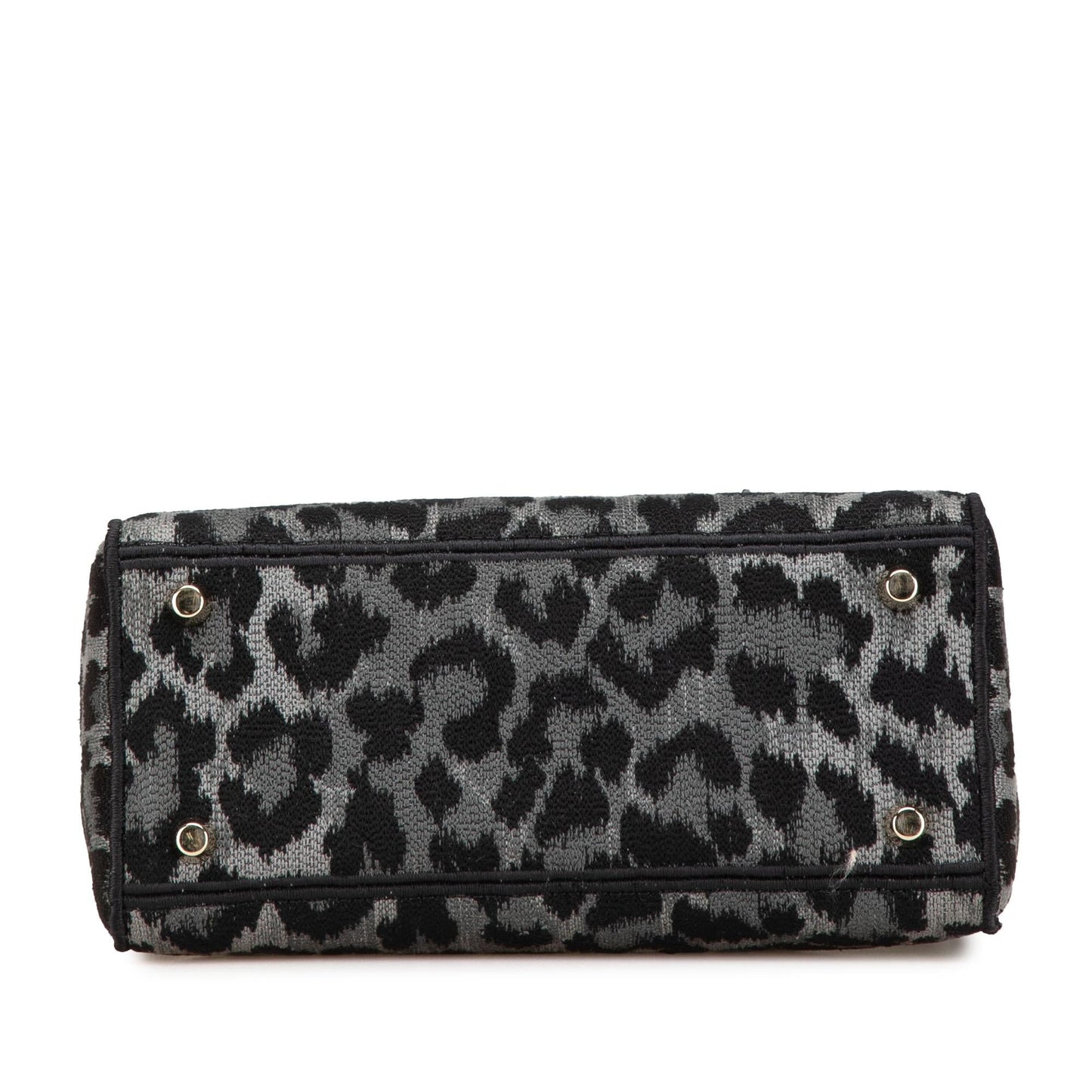 Dior Mizza Leopard Lady Lite Satchel Bag Canvas Medium Embroidered