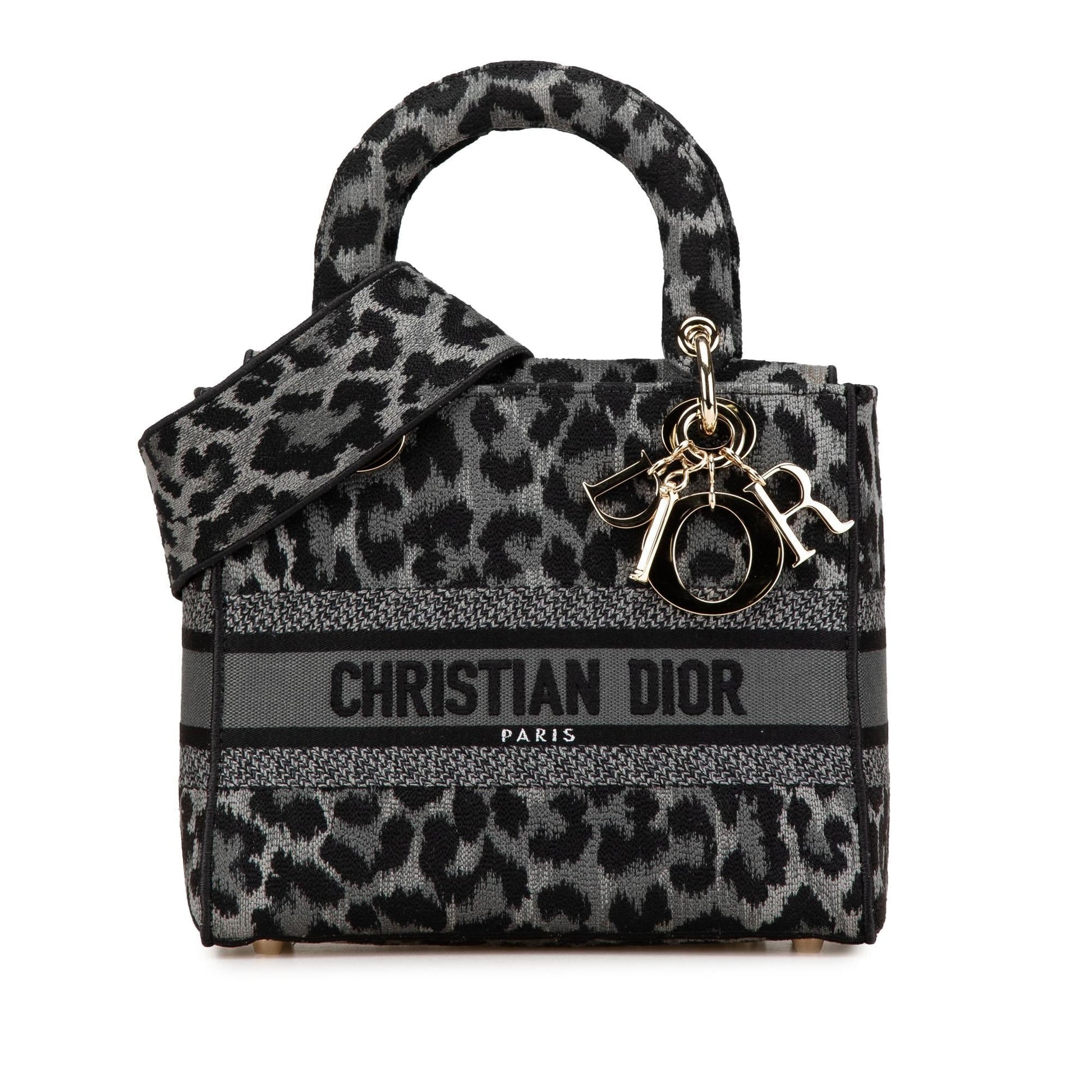 Dior Mizza Leopard Lady Lite Satchel Bag Canvas Medium Embroidered
