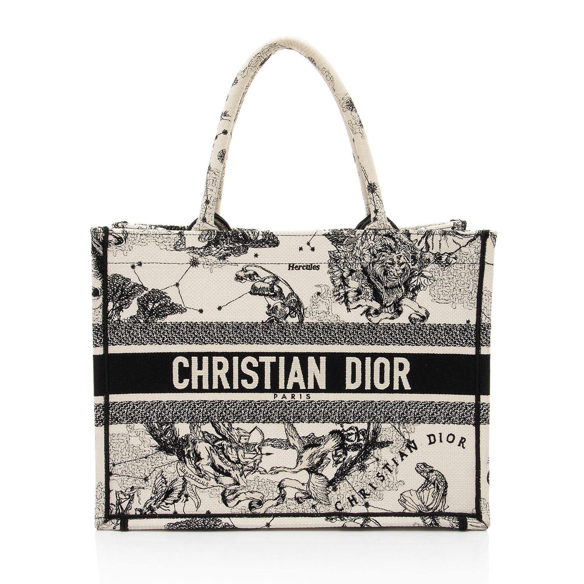Dior Zodiac Toile De Jouy Book Tote Medium Tote Bag