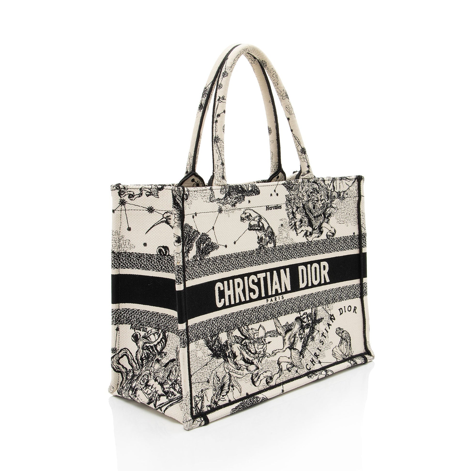Dior Zodiac Toile De Jouy Book Tote Medium Tote Bag