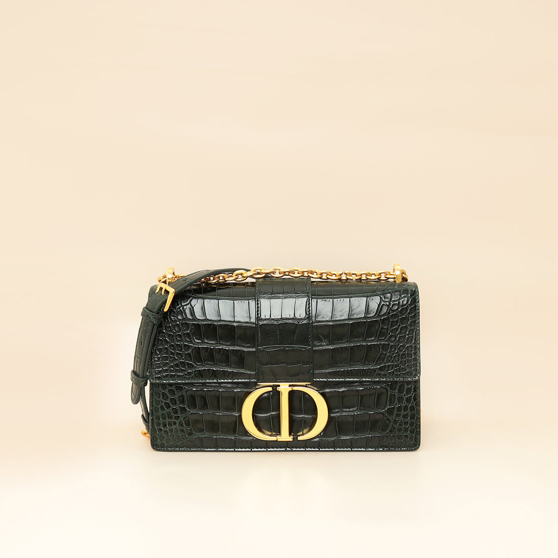 Dior Handbag Christian Forest Alligator 30 Montaigne Bag Green Medium Shoulder Bag