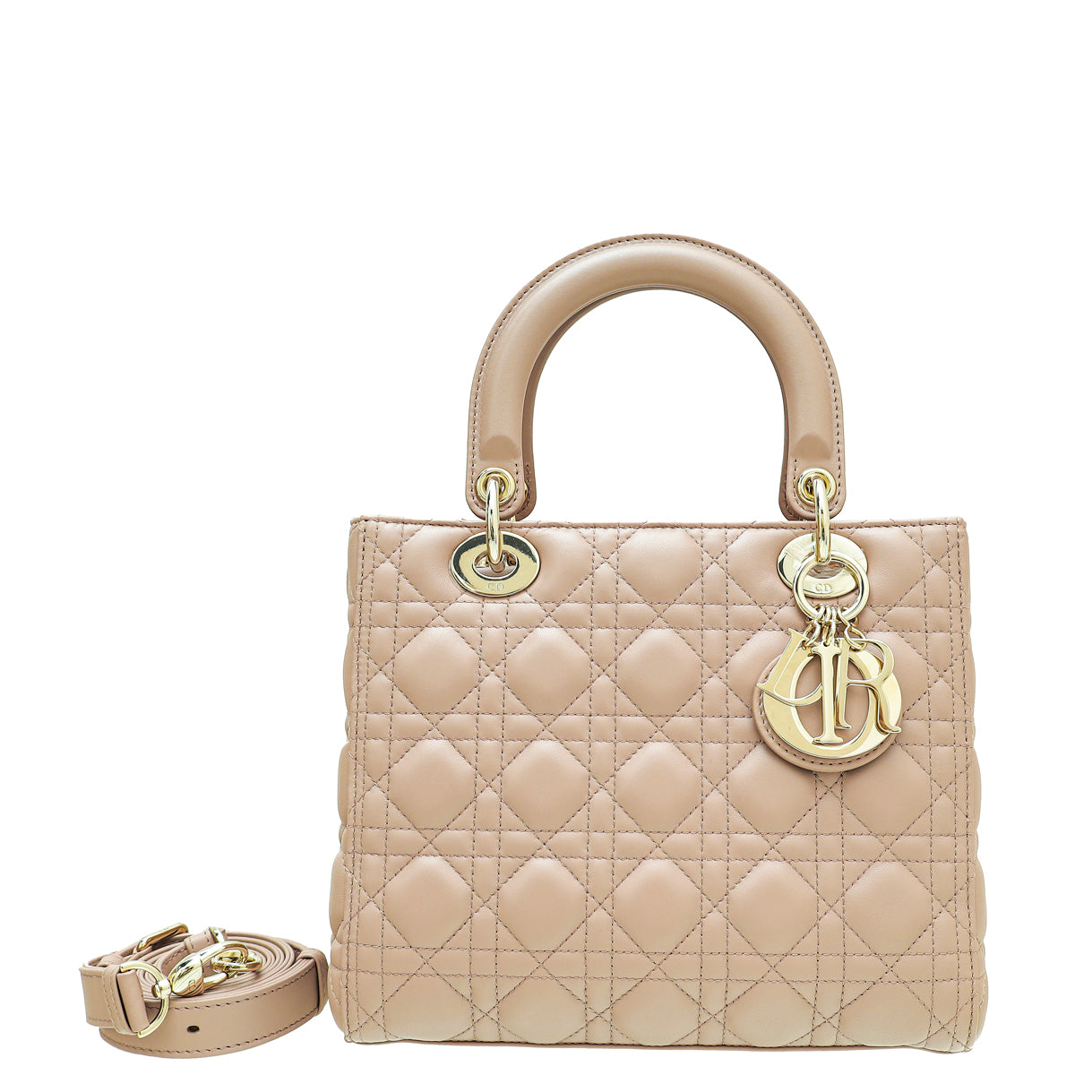 Dior Handbag Christian Rose Des Vents Lady Bag Medium Shoulder Bag