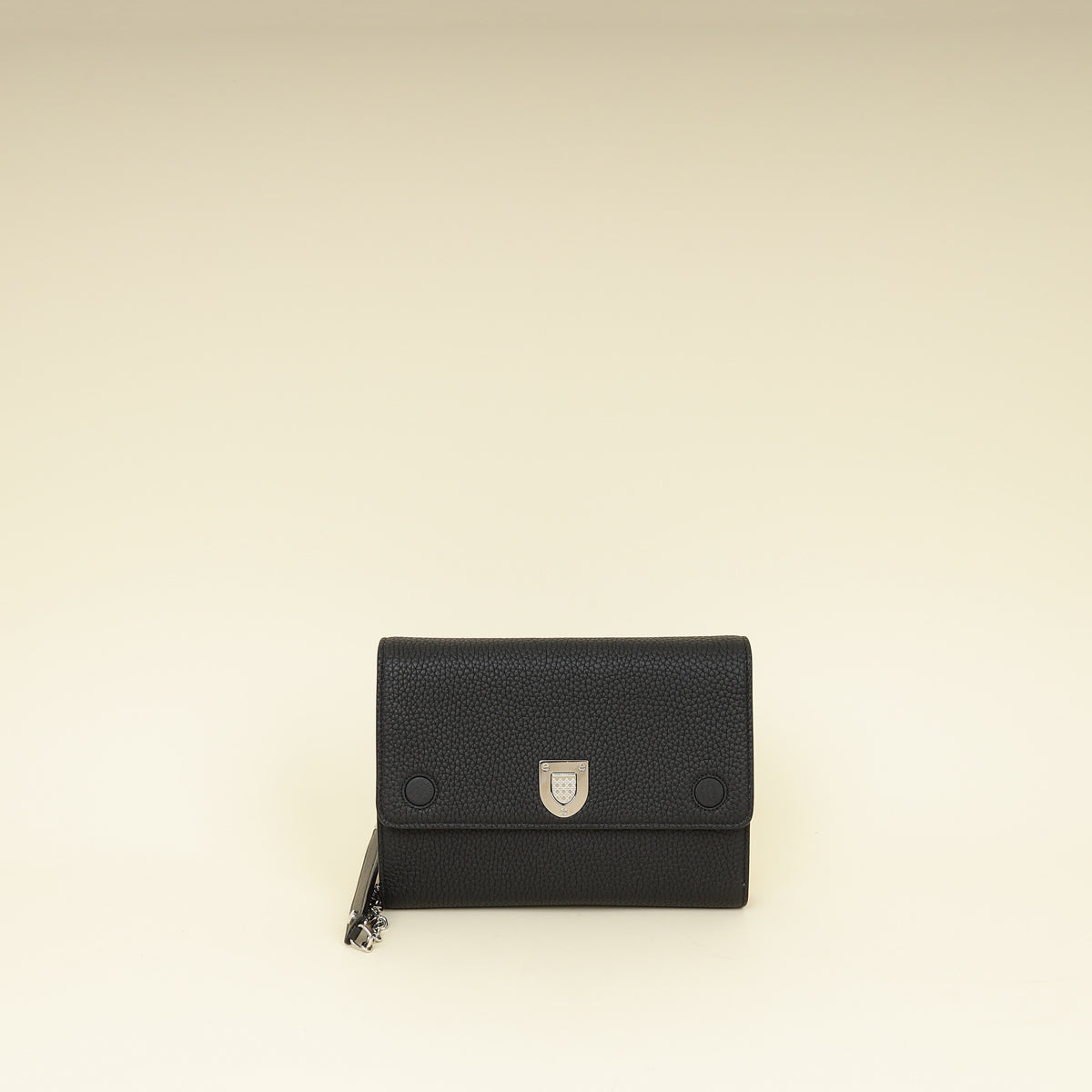Dior Shoulder Bag Christian ever Wallet On Black Chain