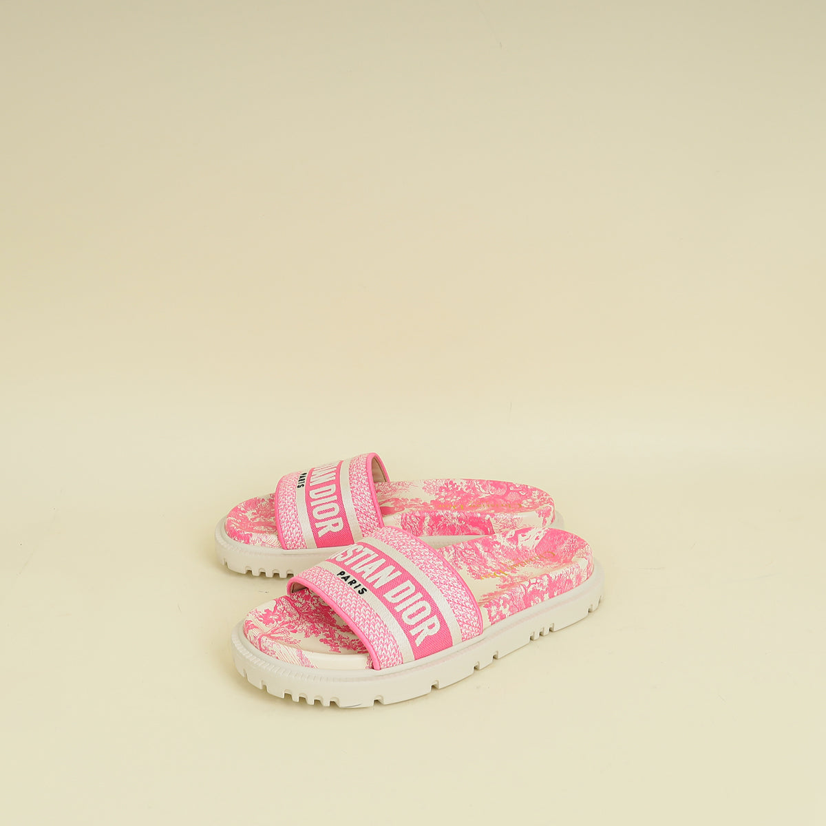 Dior Shoe Christian Bicolor Dway Toile De Jouy Flat Embroidered Shoes