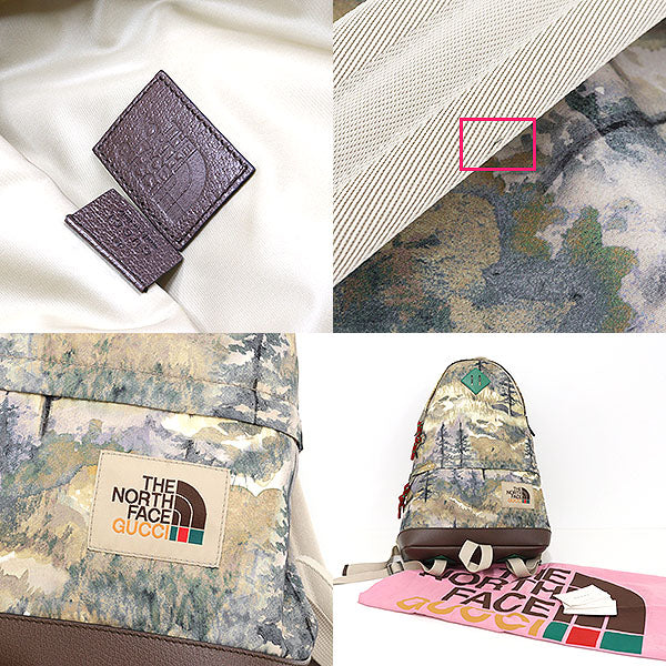 Gucci Backpack NORTH FACE X Backpack Nylon Beige Medium